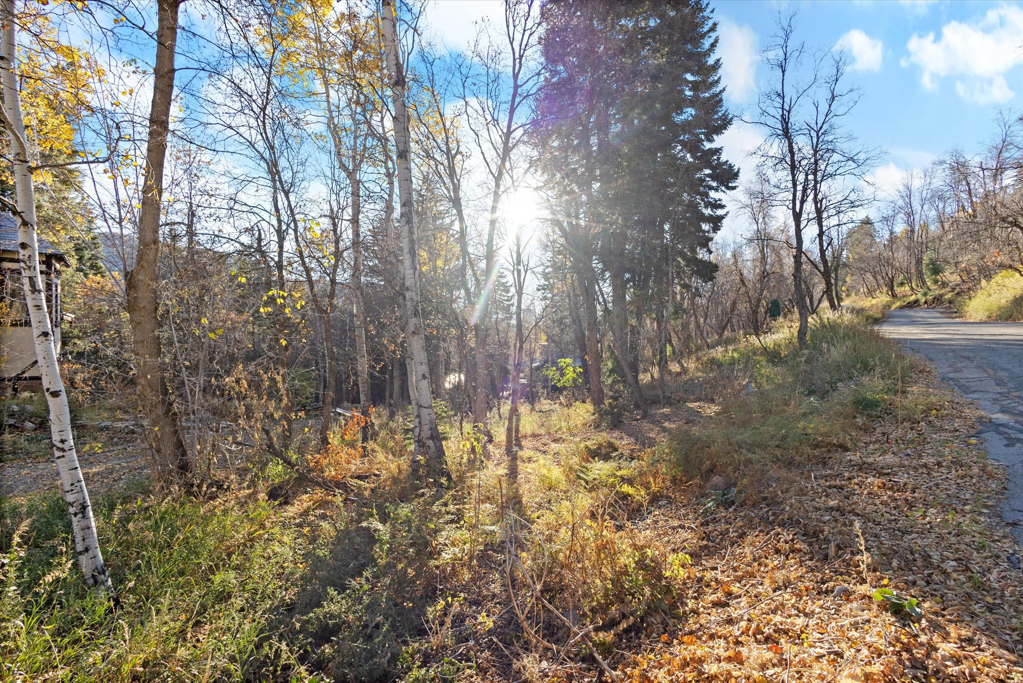 9128 N TIMPHAVEN RD Unit: 15