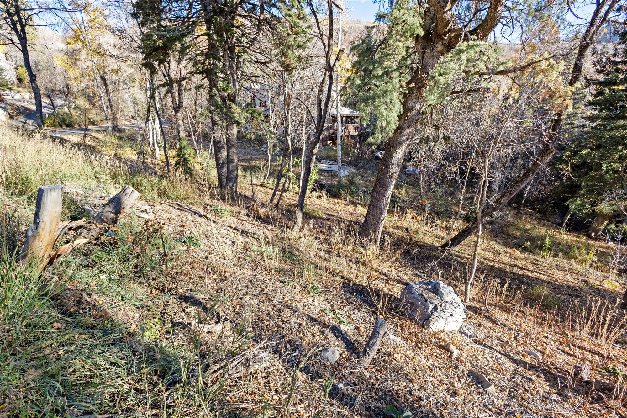 9128 N TIMPHAVEN RD Unit: 15