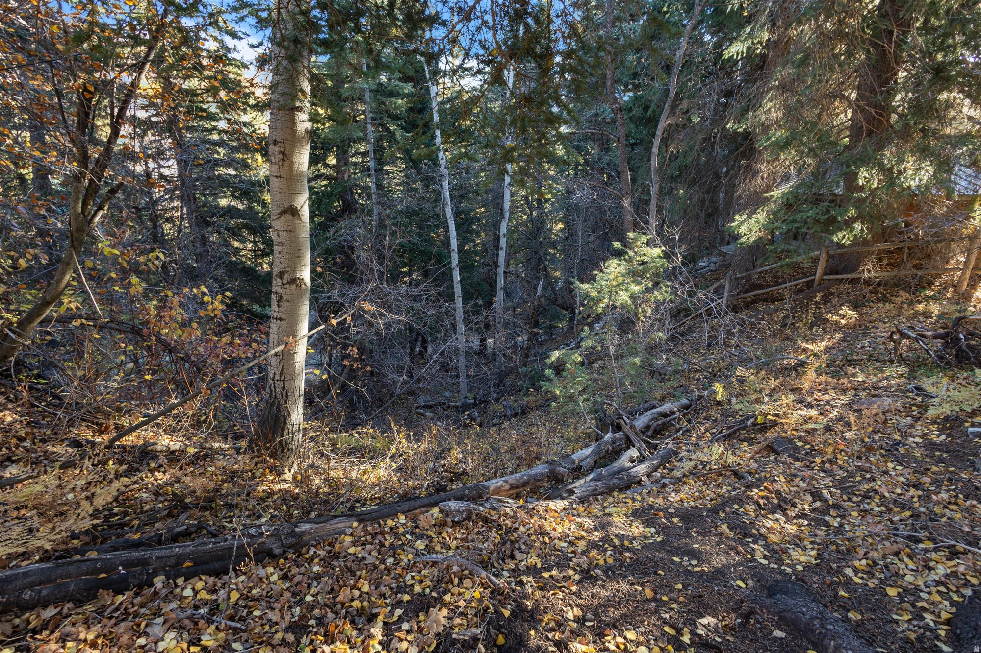 9128 N TIMPHAVEN RD Unit: 15