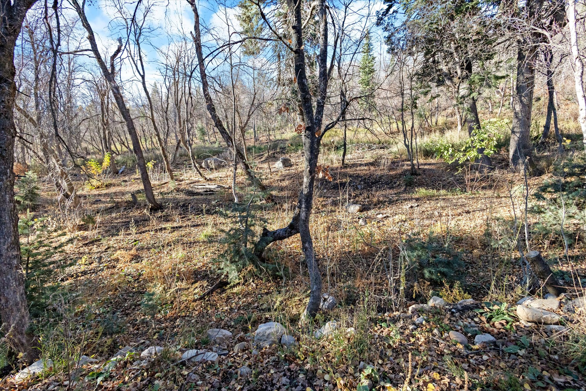 9128 N TIMPHAVEN RD Unit: 15