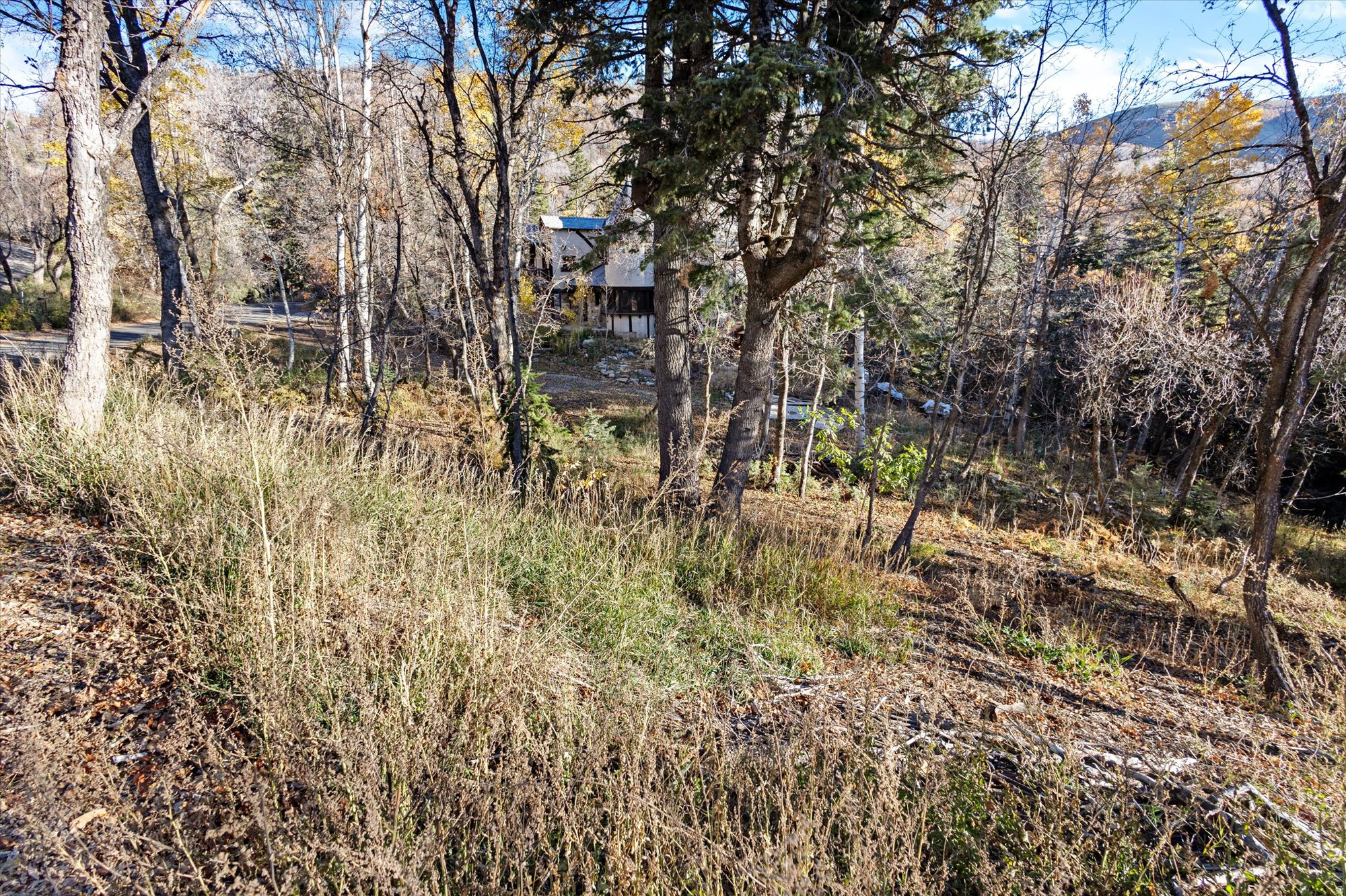 9128 N TIMPHAVEN RD Unit: 15