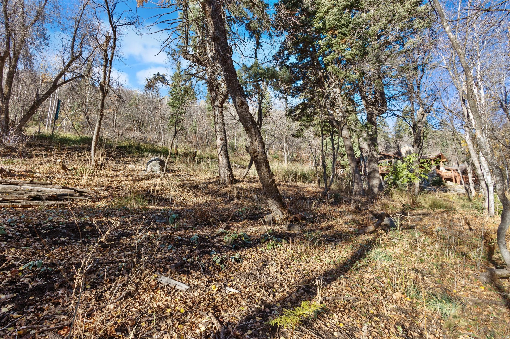 9128 N TIMPHAVEN RD Unit: 15