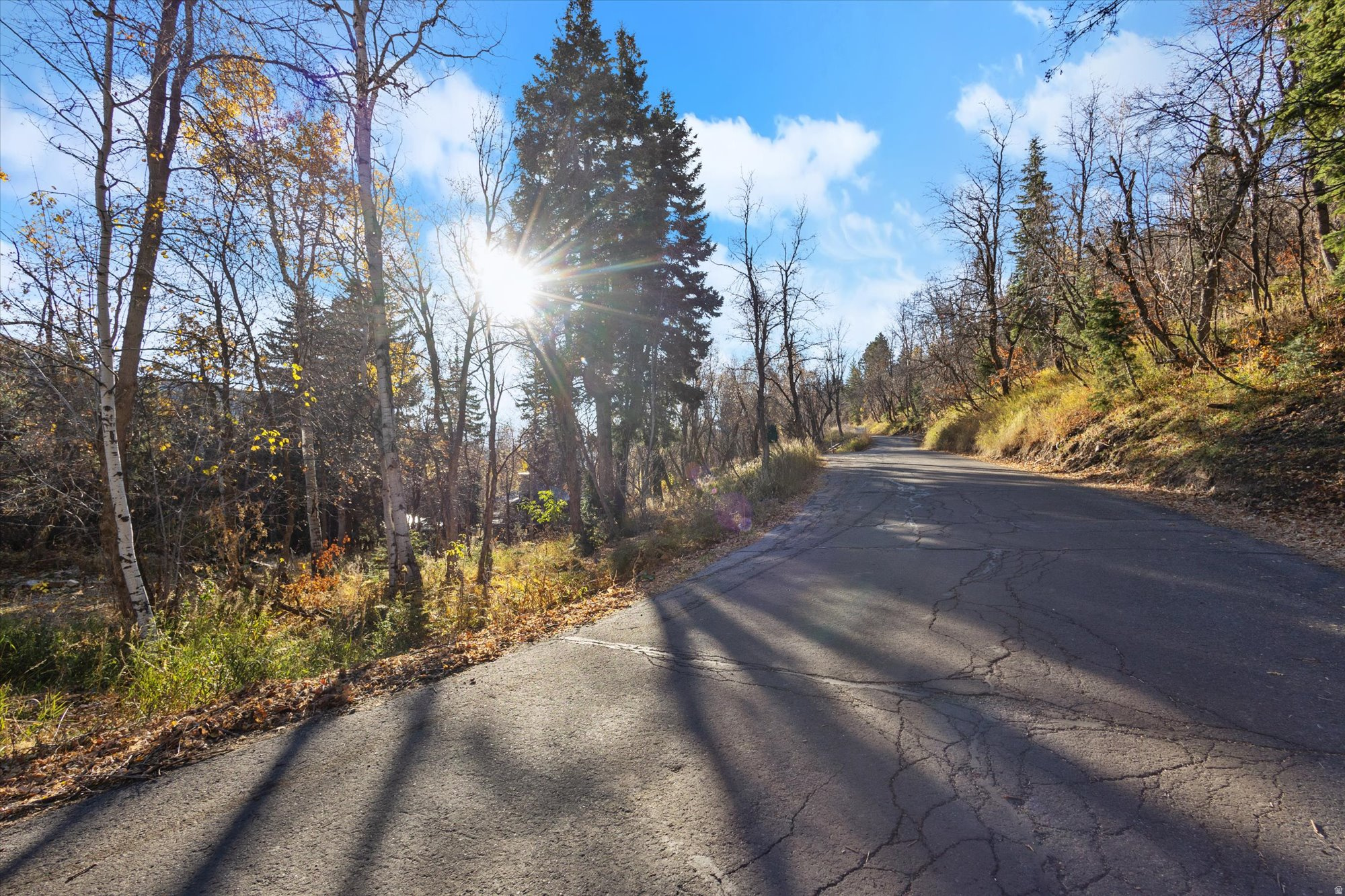 9128 N TIMPHAVEN RD Unit: 15