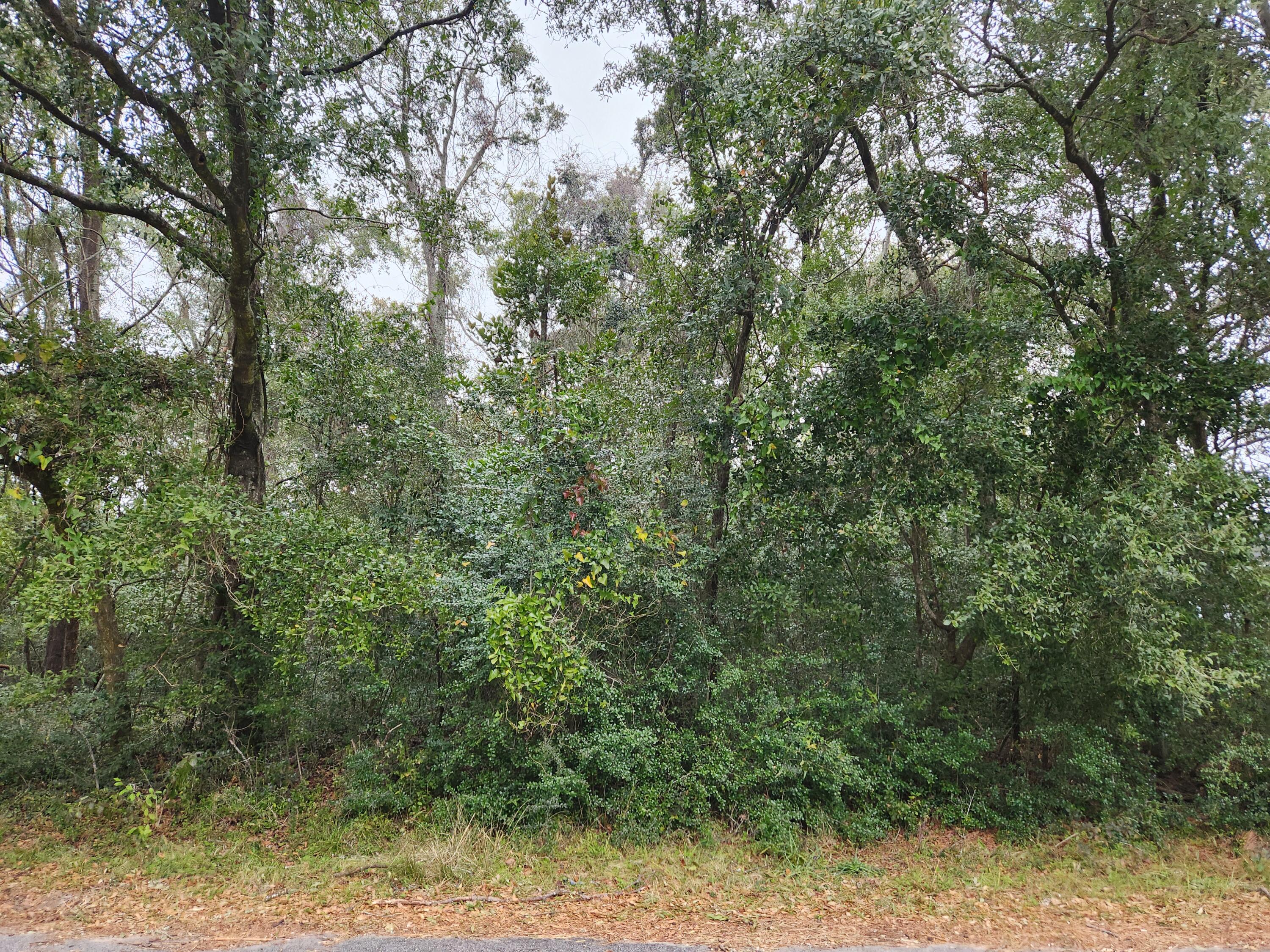 203 6th Avenue