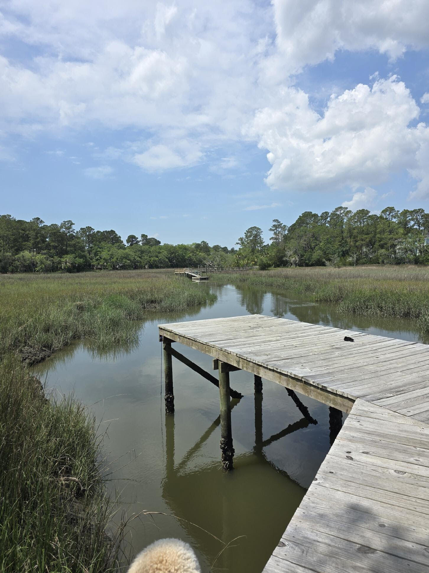 261 Mossy Oak Way