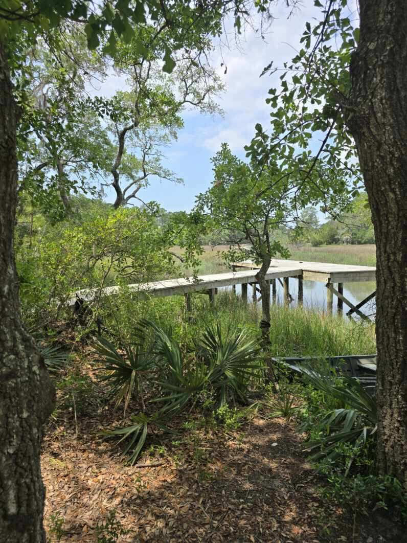 261 Mossy Oak Way