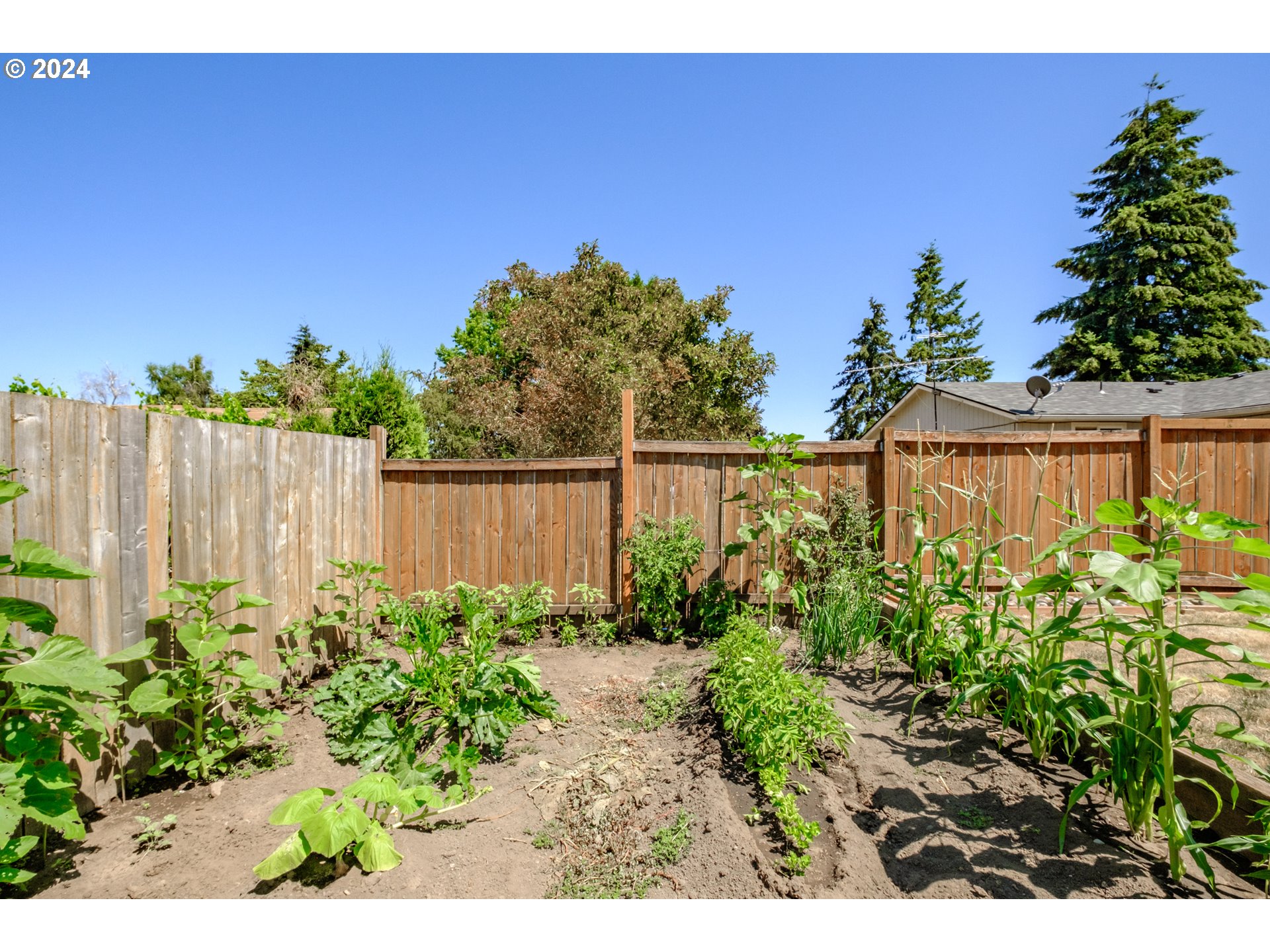 469 DELORES DR