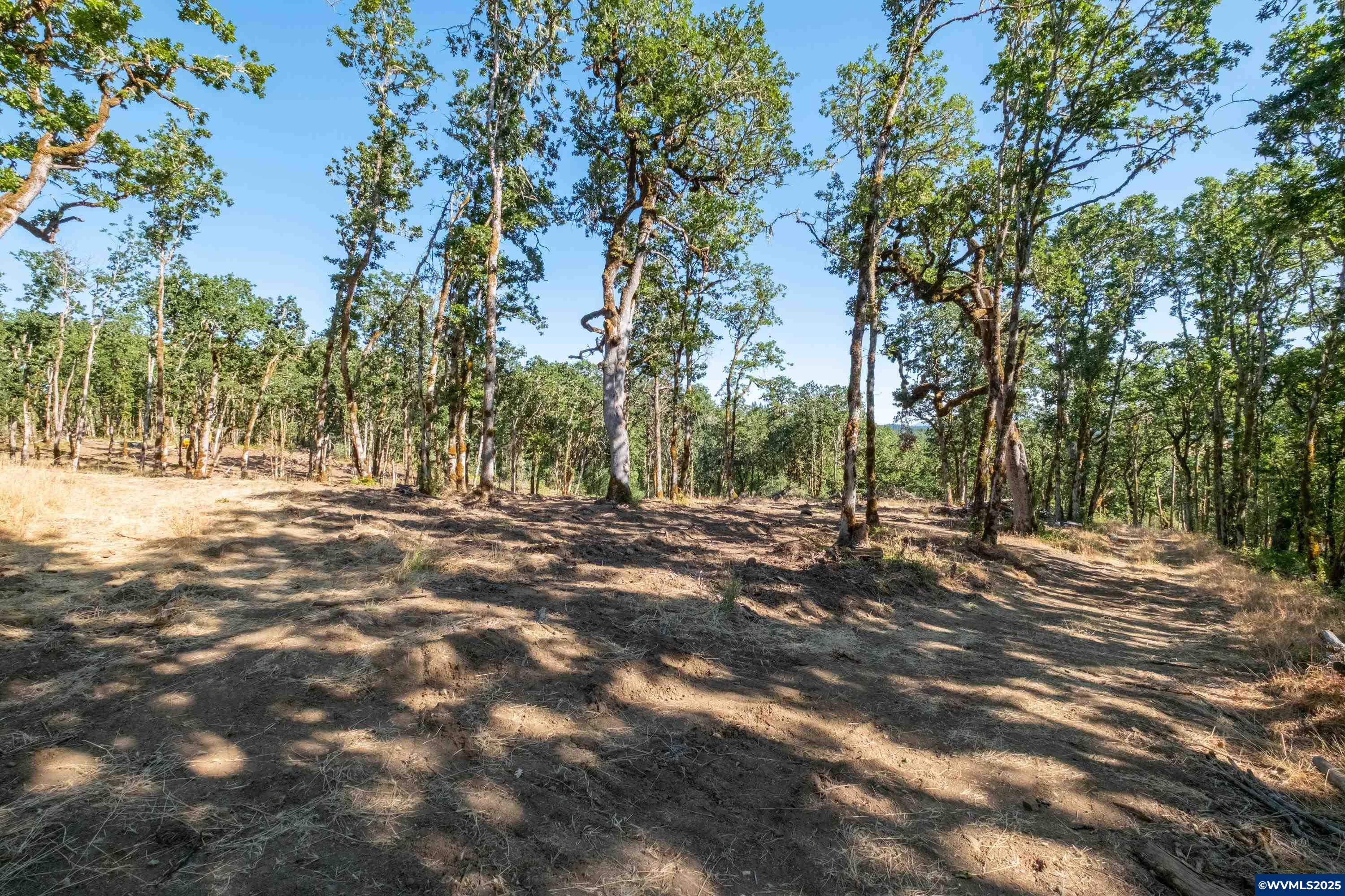 Parcel 2 S Kings Valley Hwy