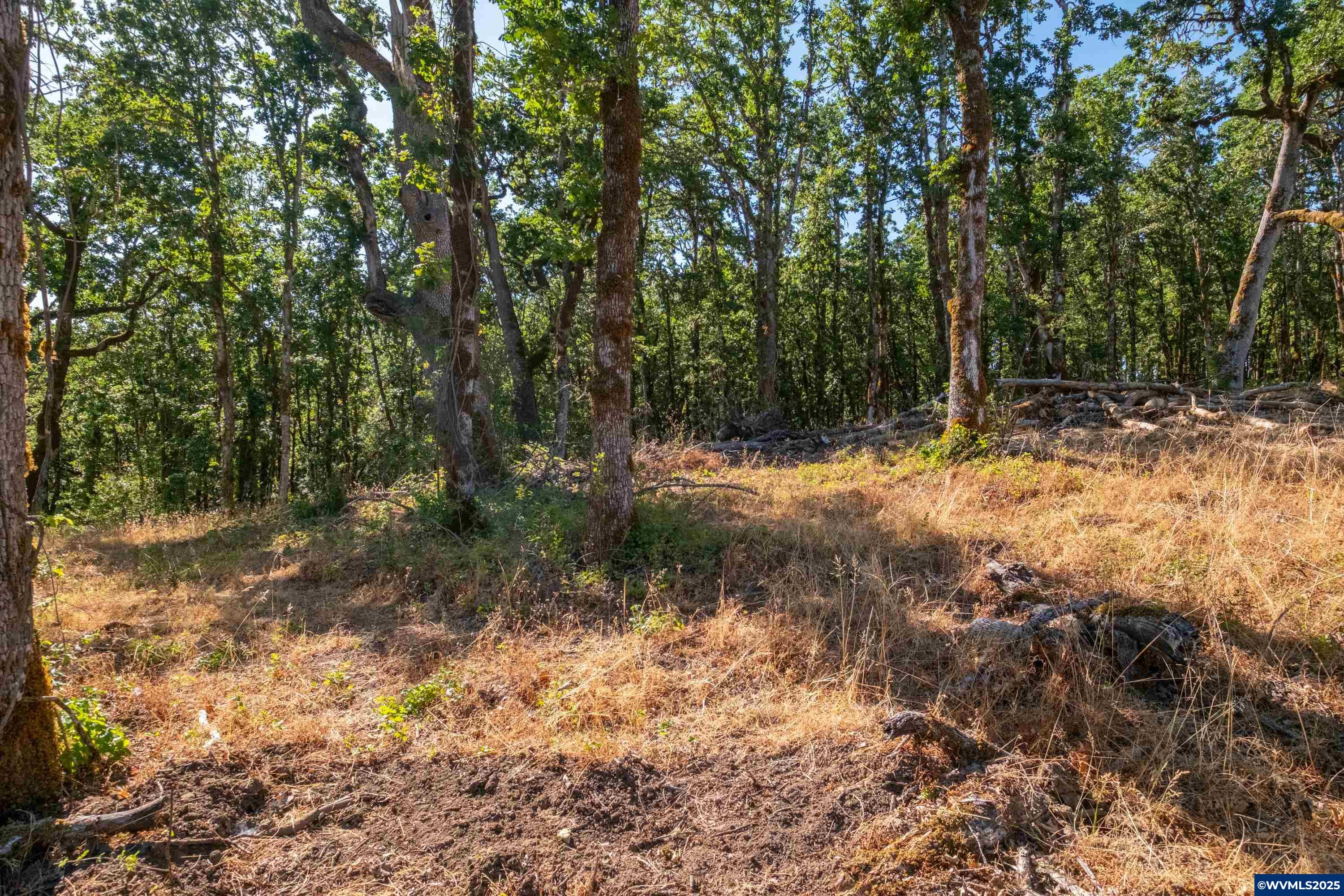 Parcel 2 S Kings Valley Hwy