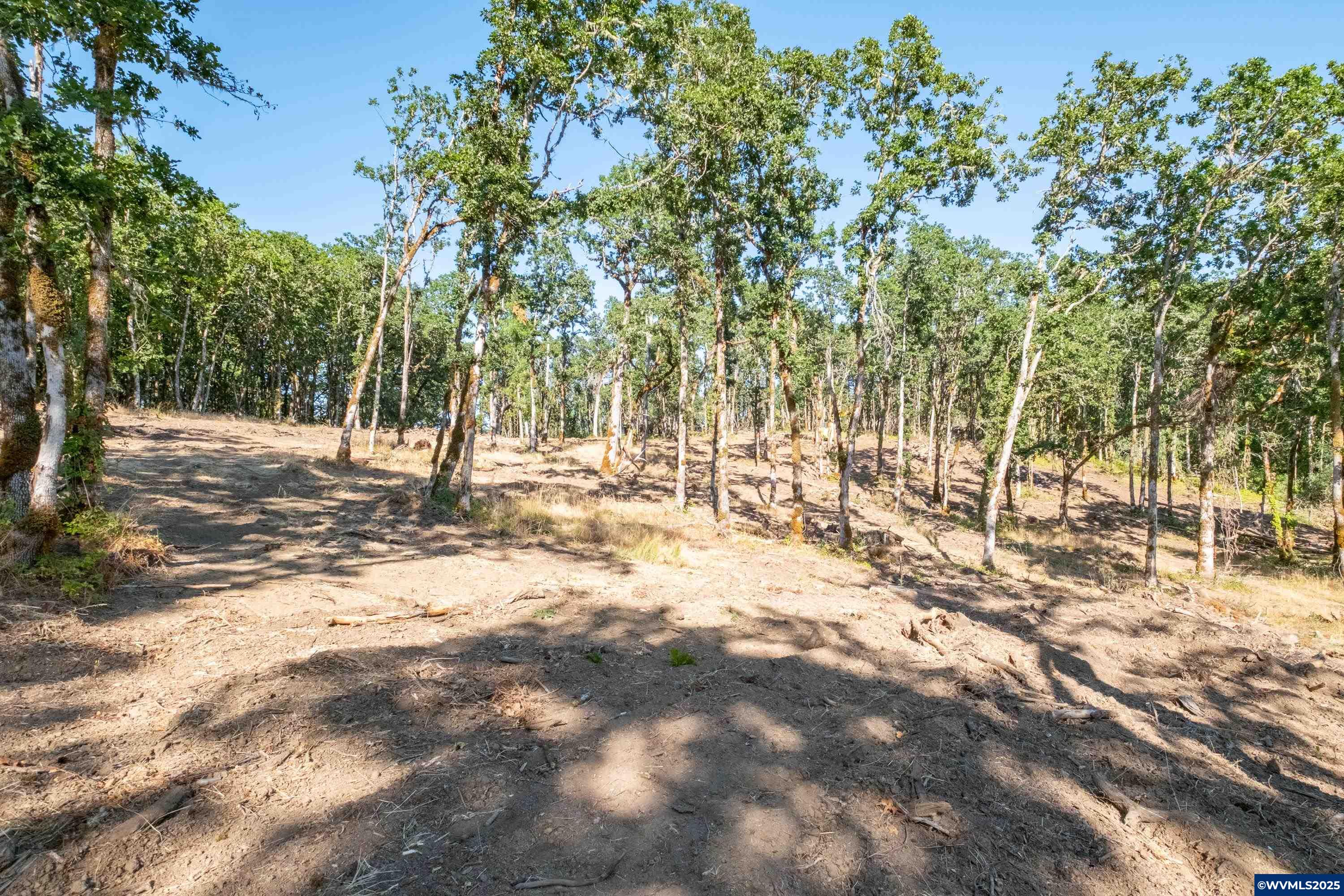 Parcel 2 S Kings Valley Hwy