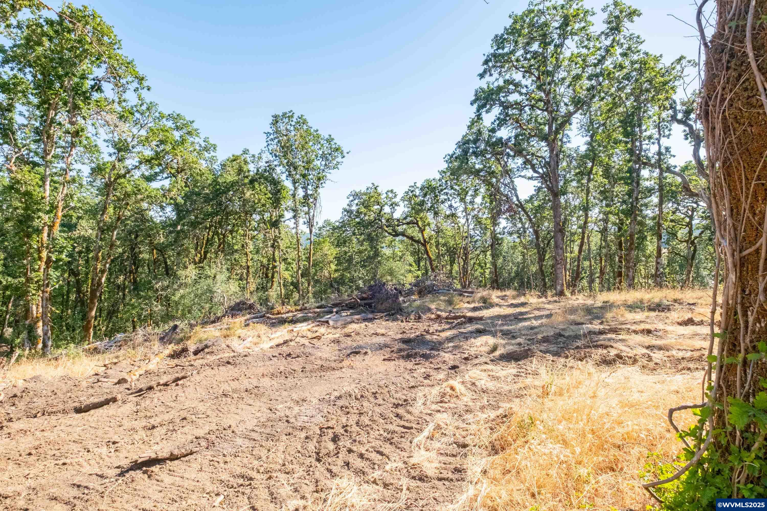 Parcel 2 S Kings Valley Hwy