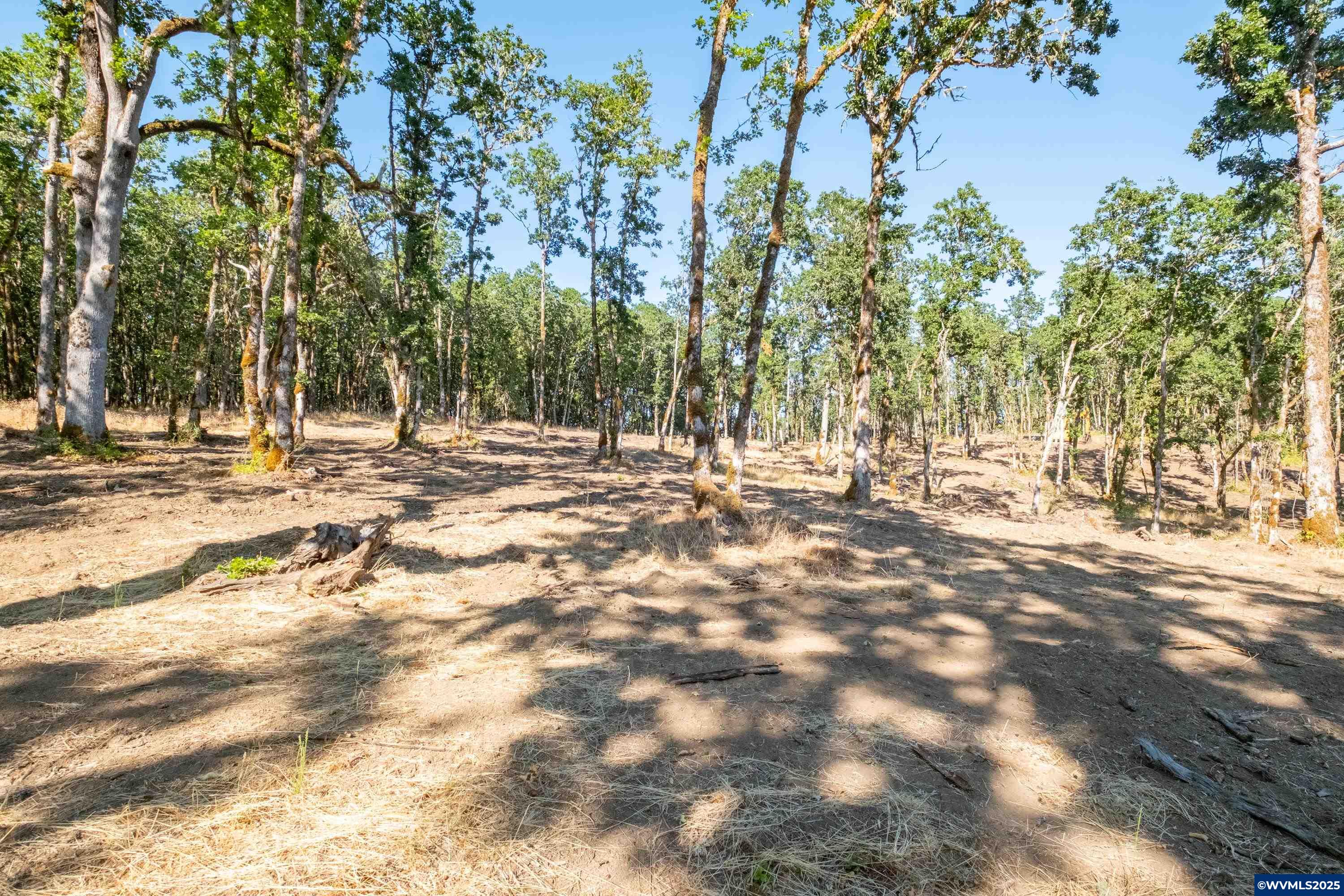 Parcel 2 S Kings Valley Hwy