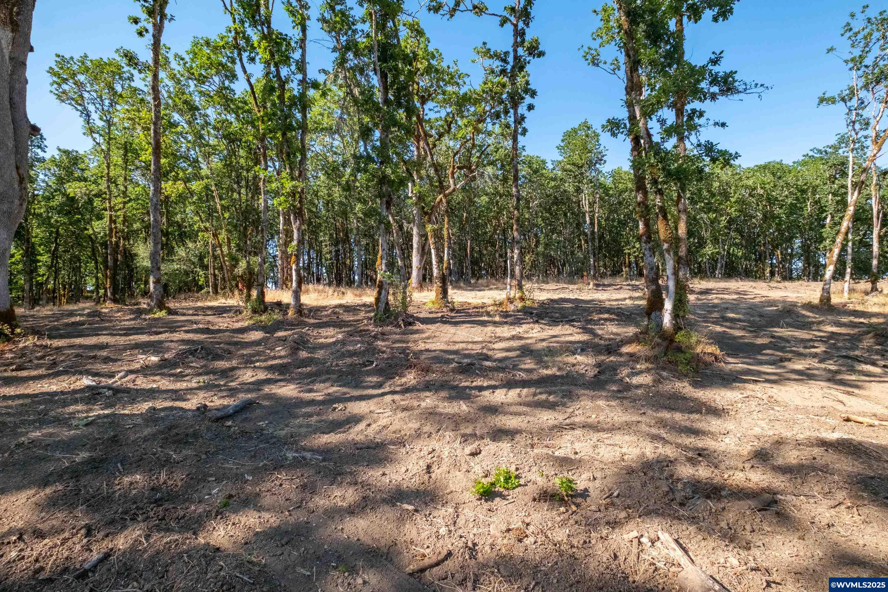 Parcel 2 S Kings Valley Hwy