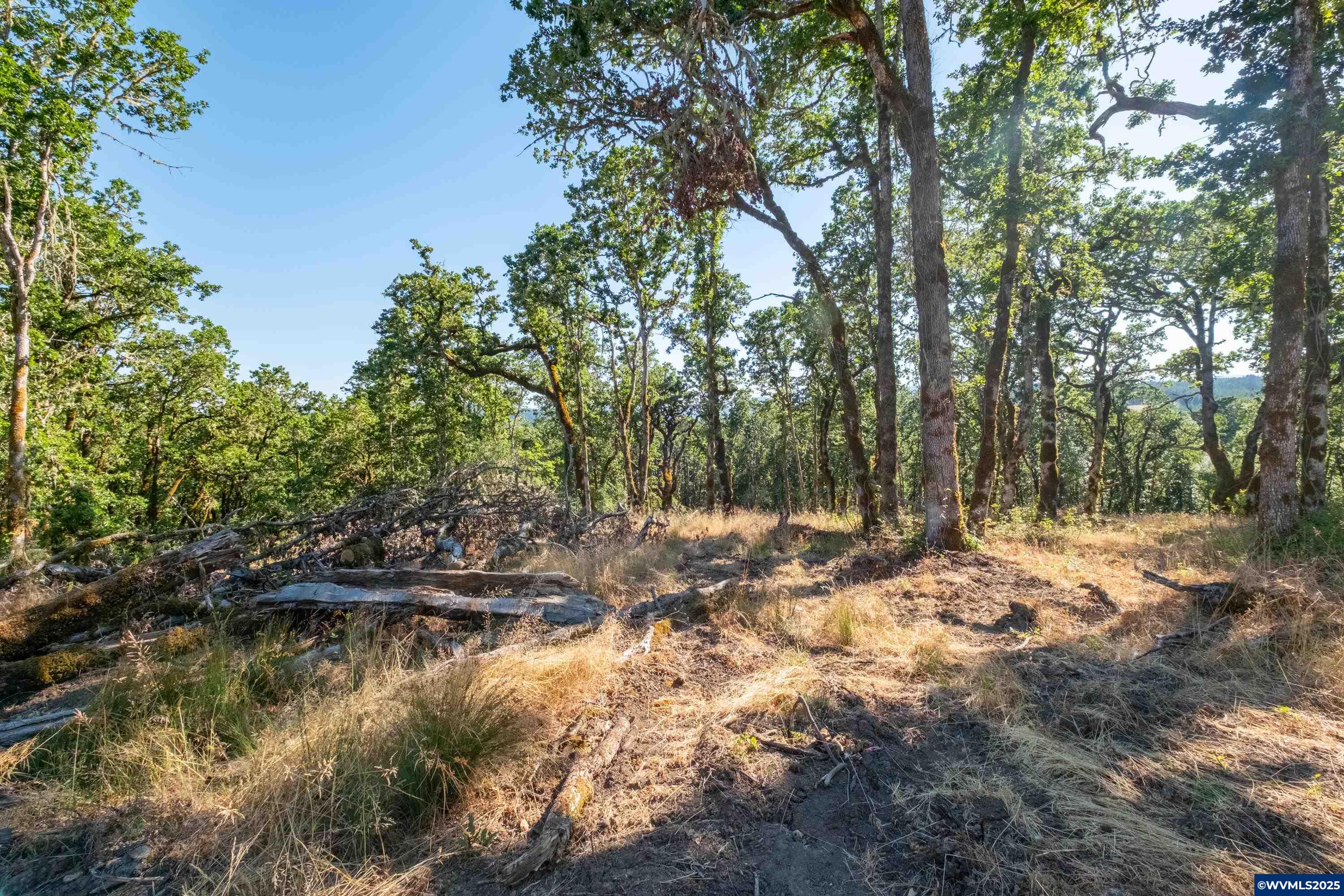 Parcel 2 S Kings Valley Hwy