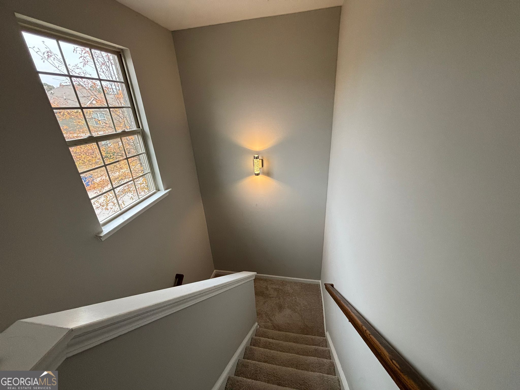 518 Tulip Lane