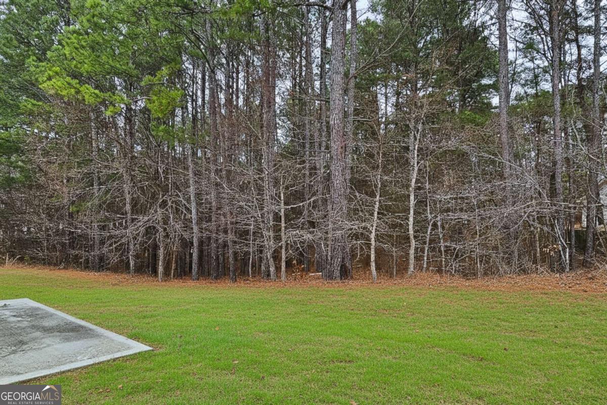 35 Ivey Township Drive