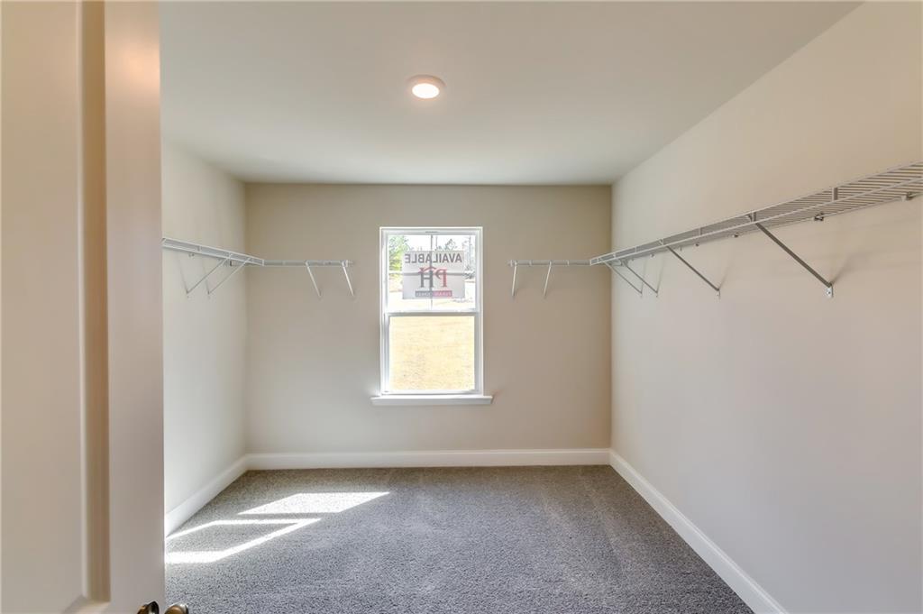 407 Shoals Trail