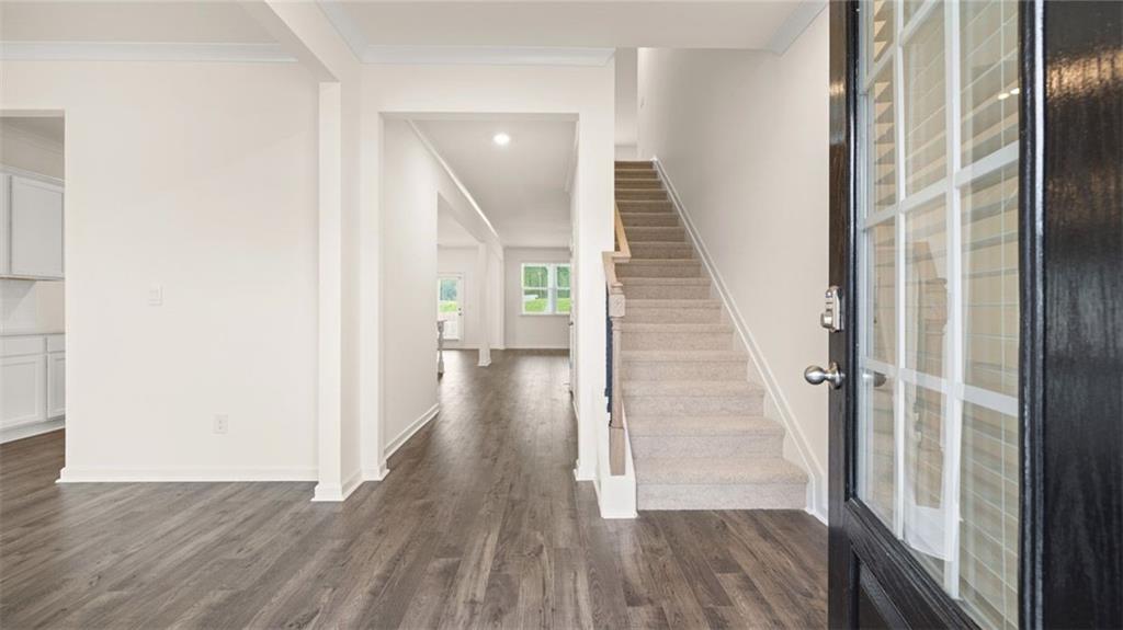 989 BLUE JUNIPER Circle