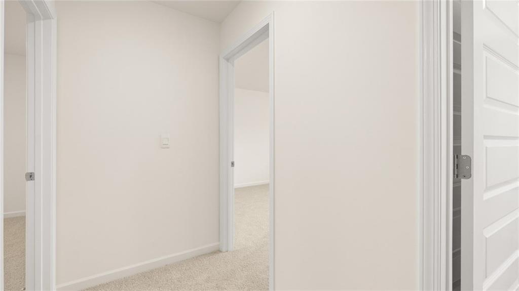 989 BLUE JUNIPER Circle