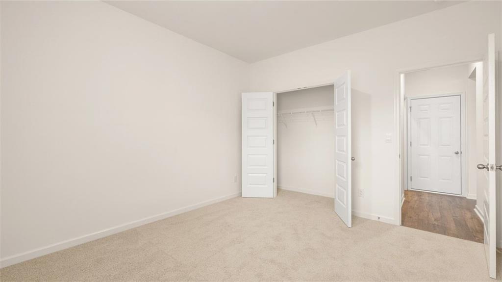 989 BLUE JUNIPER Circle