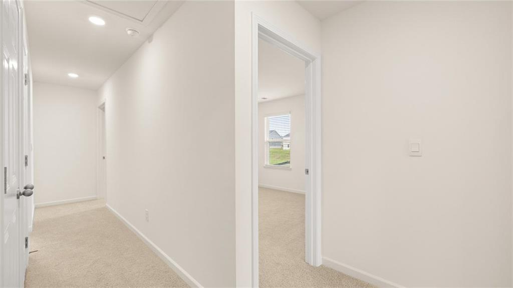989 BLUE JUNIPER Circle