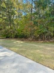 531 Ansley Forest Drive
