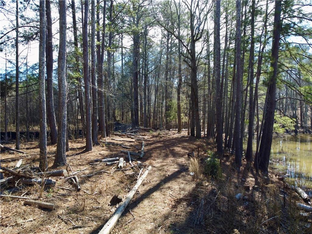 2020 Bailey Creek Road