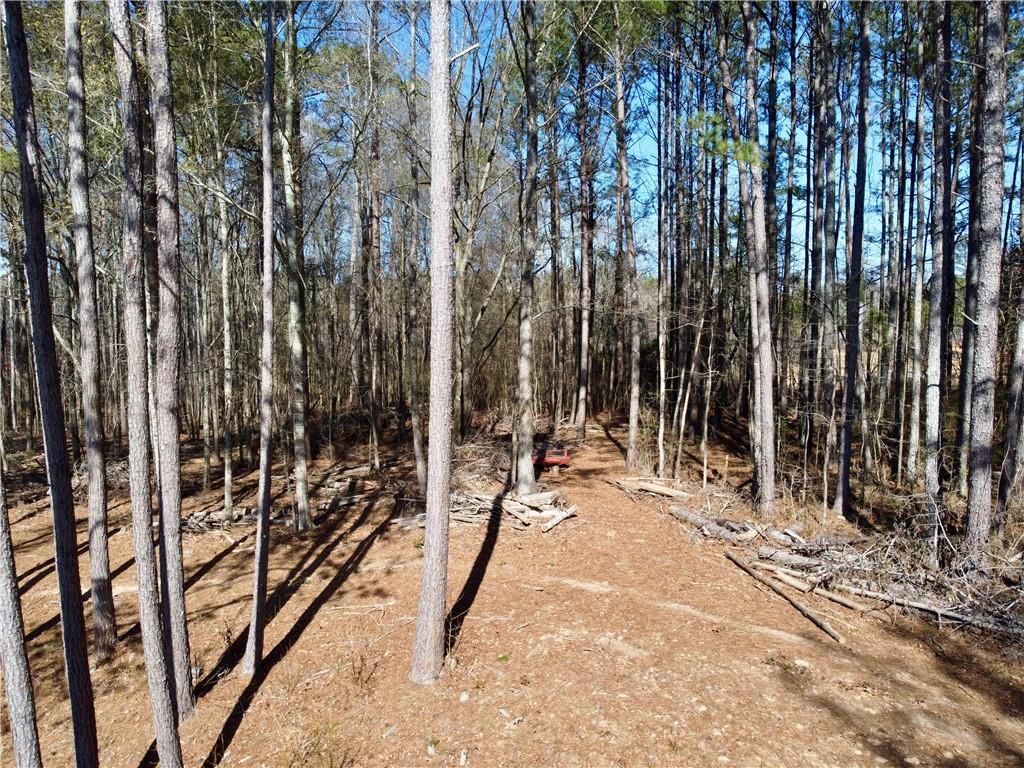 2020 Bailey Creek Road