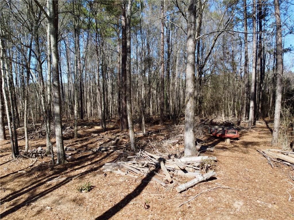 2020 Bailey Creek Road