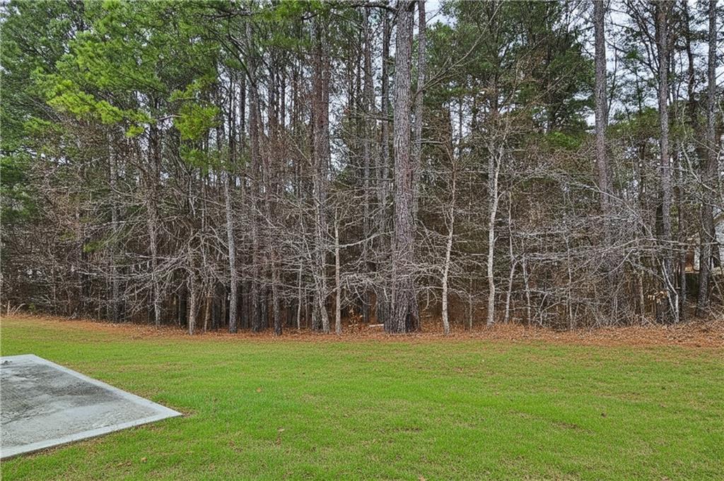 35 Ivey Township Drive