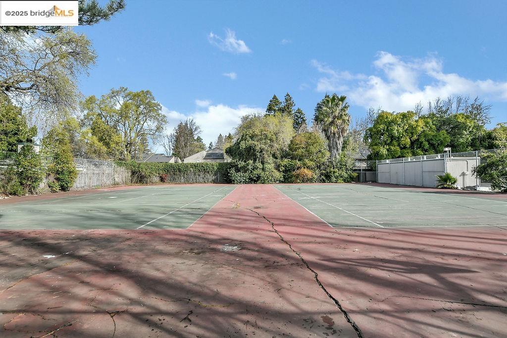 299 Shasta Dr # 9