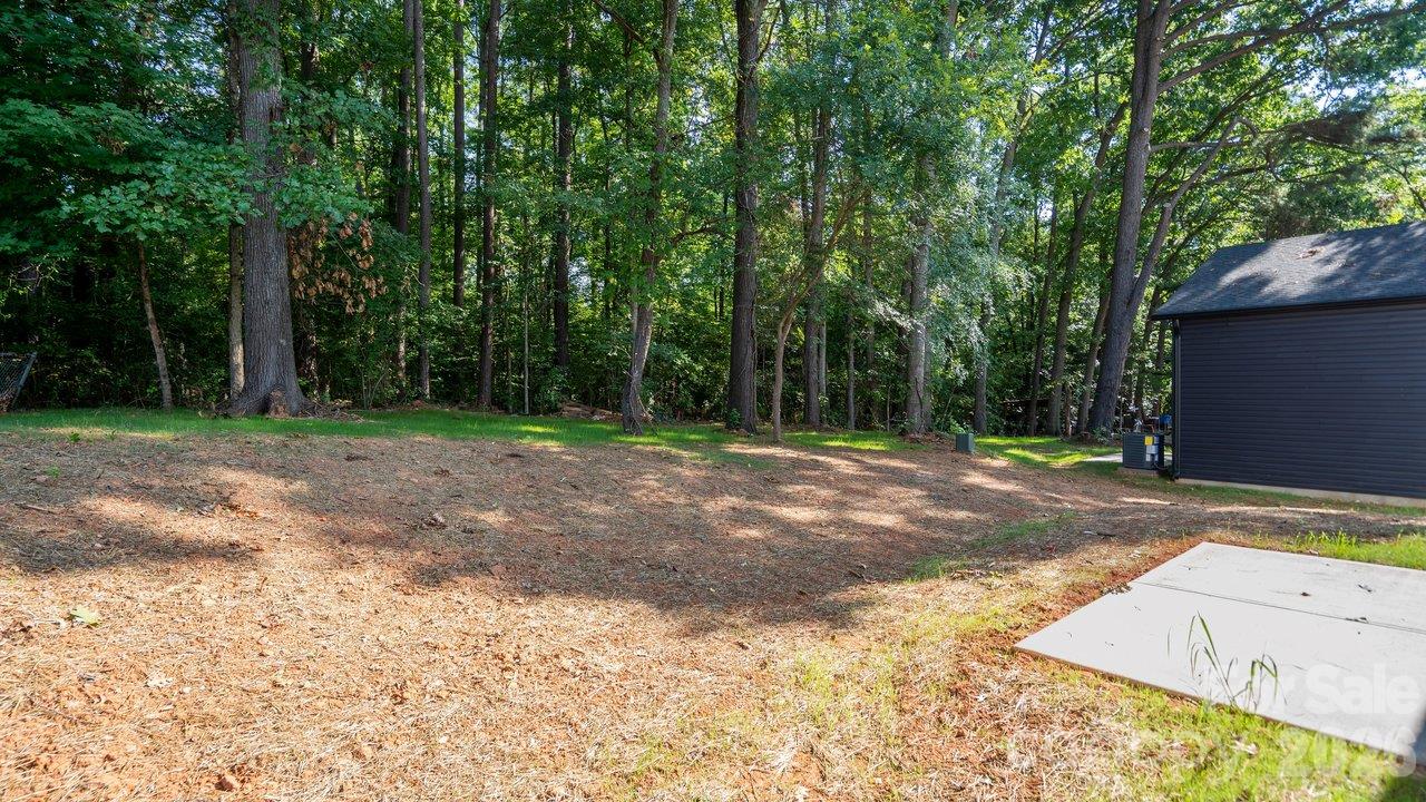 Wooded backyard with a cleared area, concrete pad, and small outbuilding.