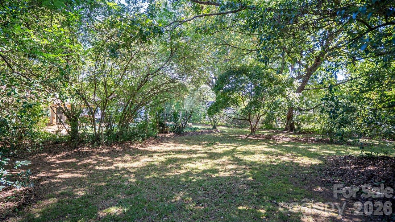 Tree-shaded backyard with a grassy lawn, mature trees, and dense greenery.