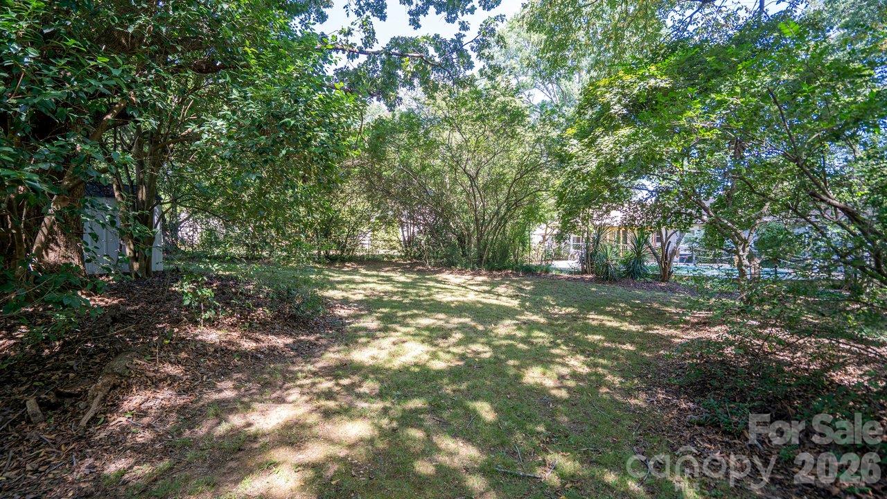 Shaded grassy backyard bordered by mature trees and dense shrubs.