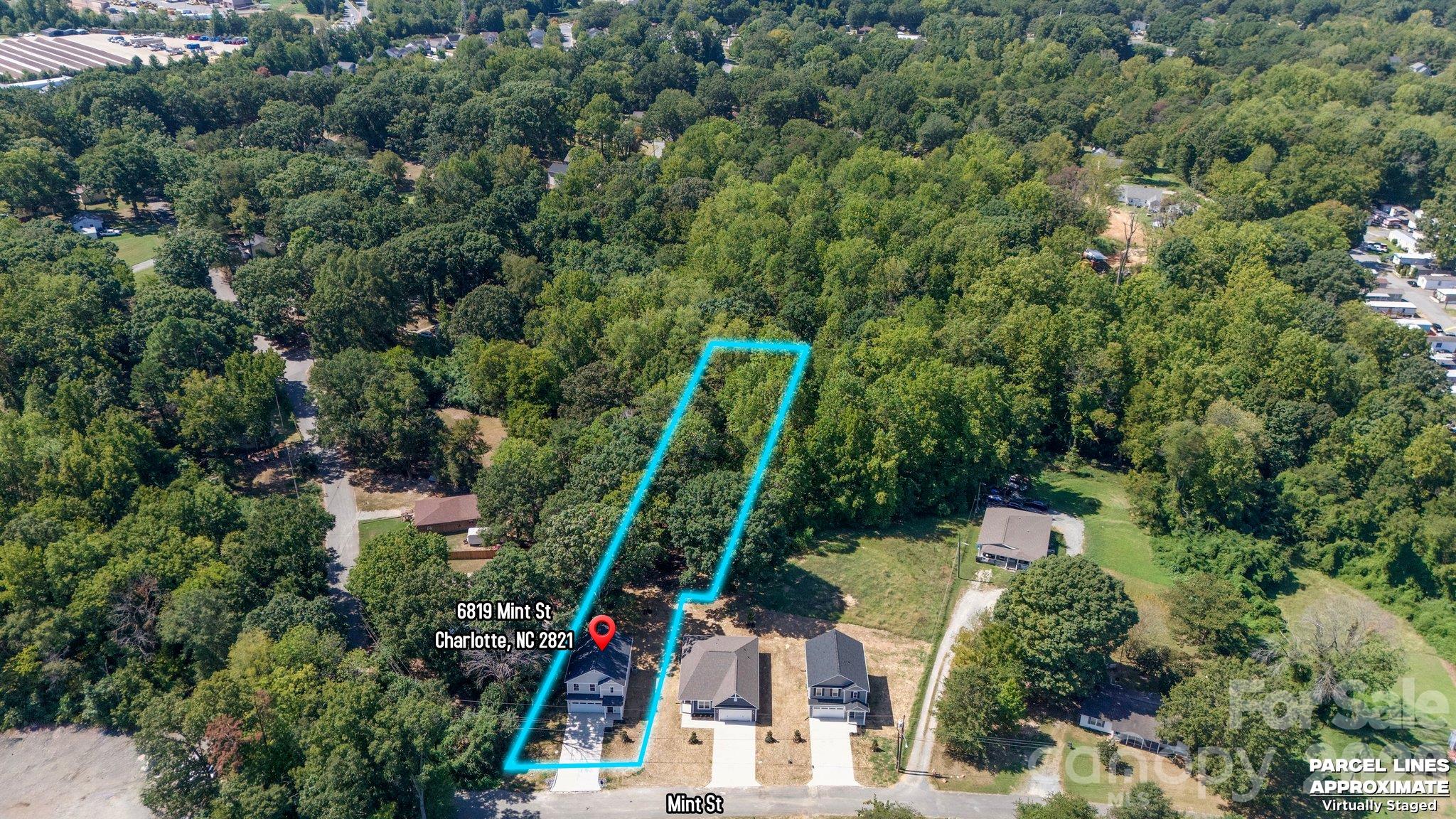 Aerial view of a wooded Mint Street parcel outlined in cyan, with neighboring homes and approximate boundary labels.