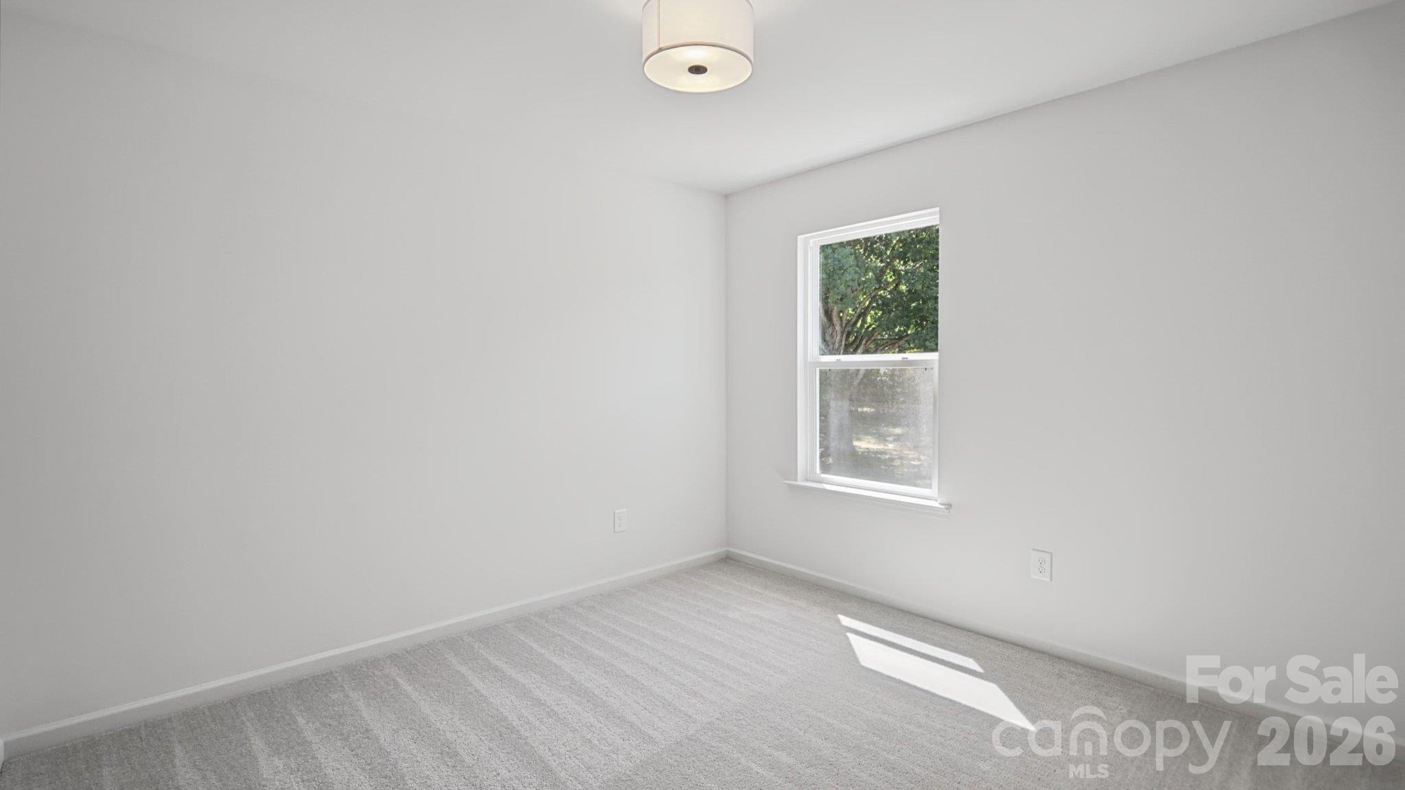 Empty bedroom with gray carpet, a window overlooking trees, and sunlight on the floor.