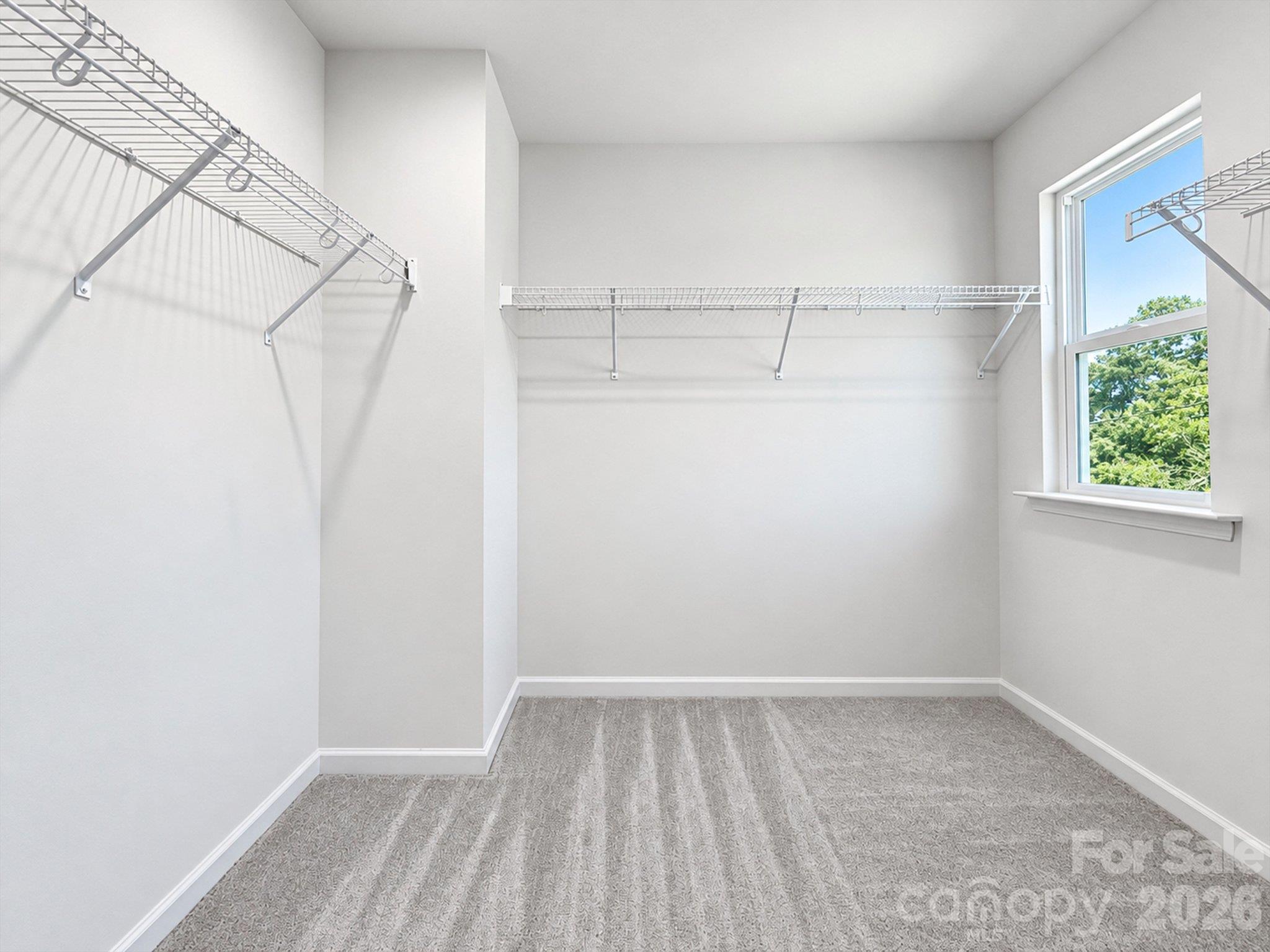Empty walk-in closet with wraparound wire shelving, gray carpet, and a window overlooking trees.