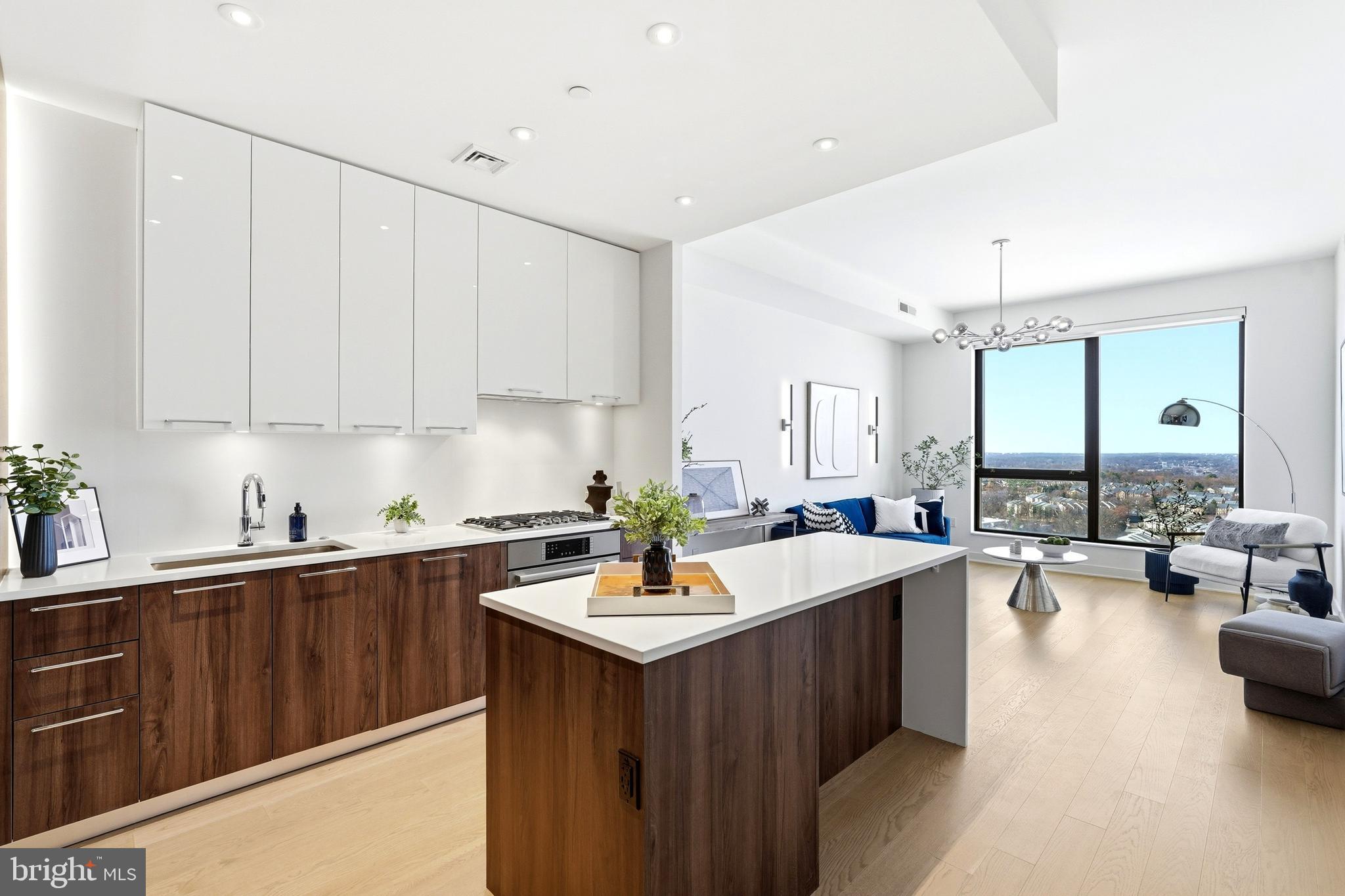 1650 SILVER HILL DRIVE 1703