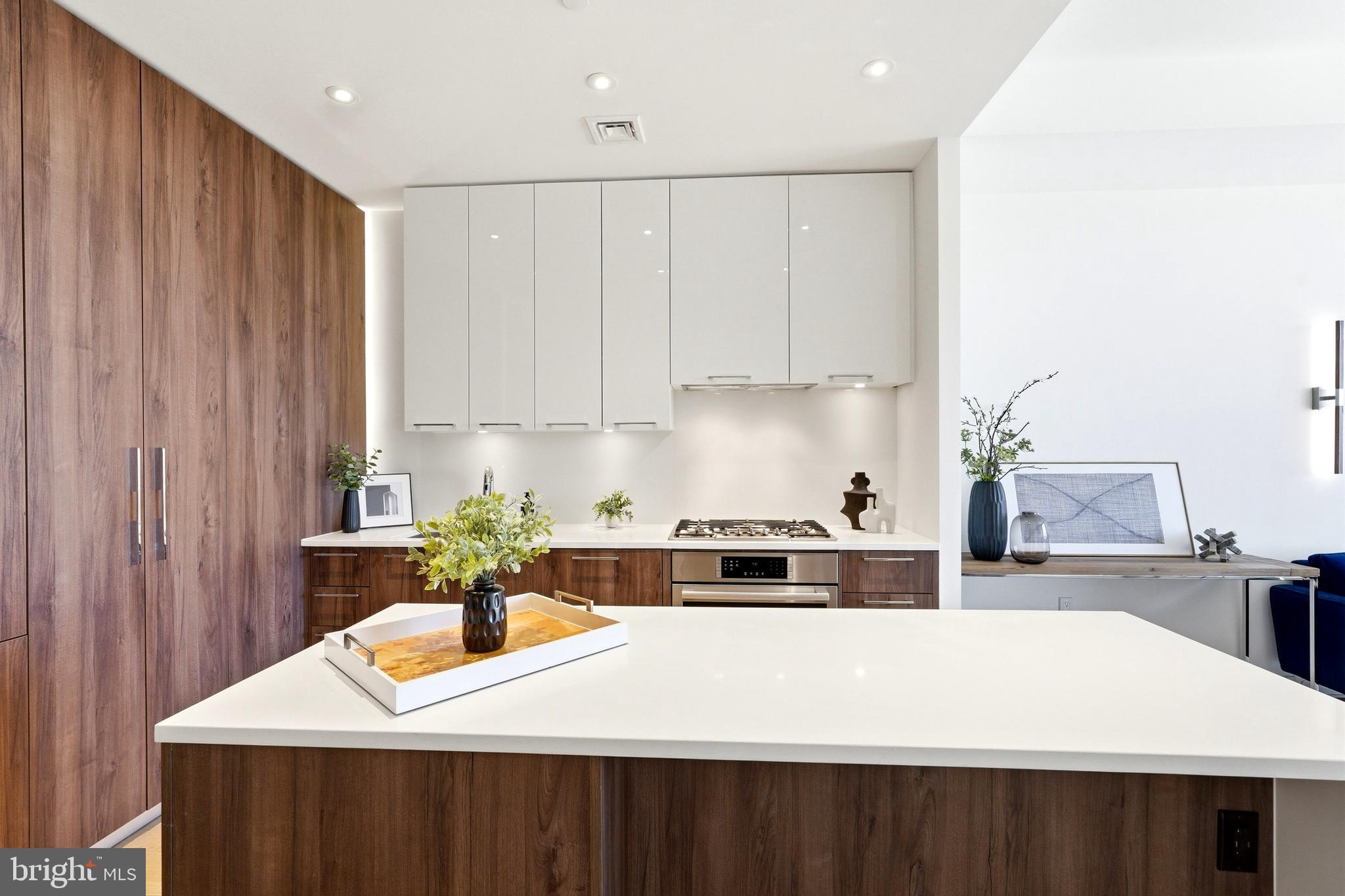 1650 SILVER HILL DRIVE 1703