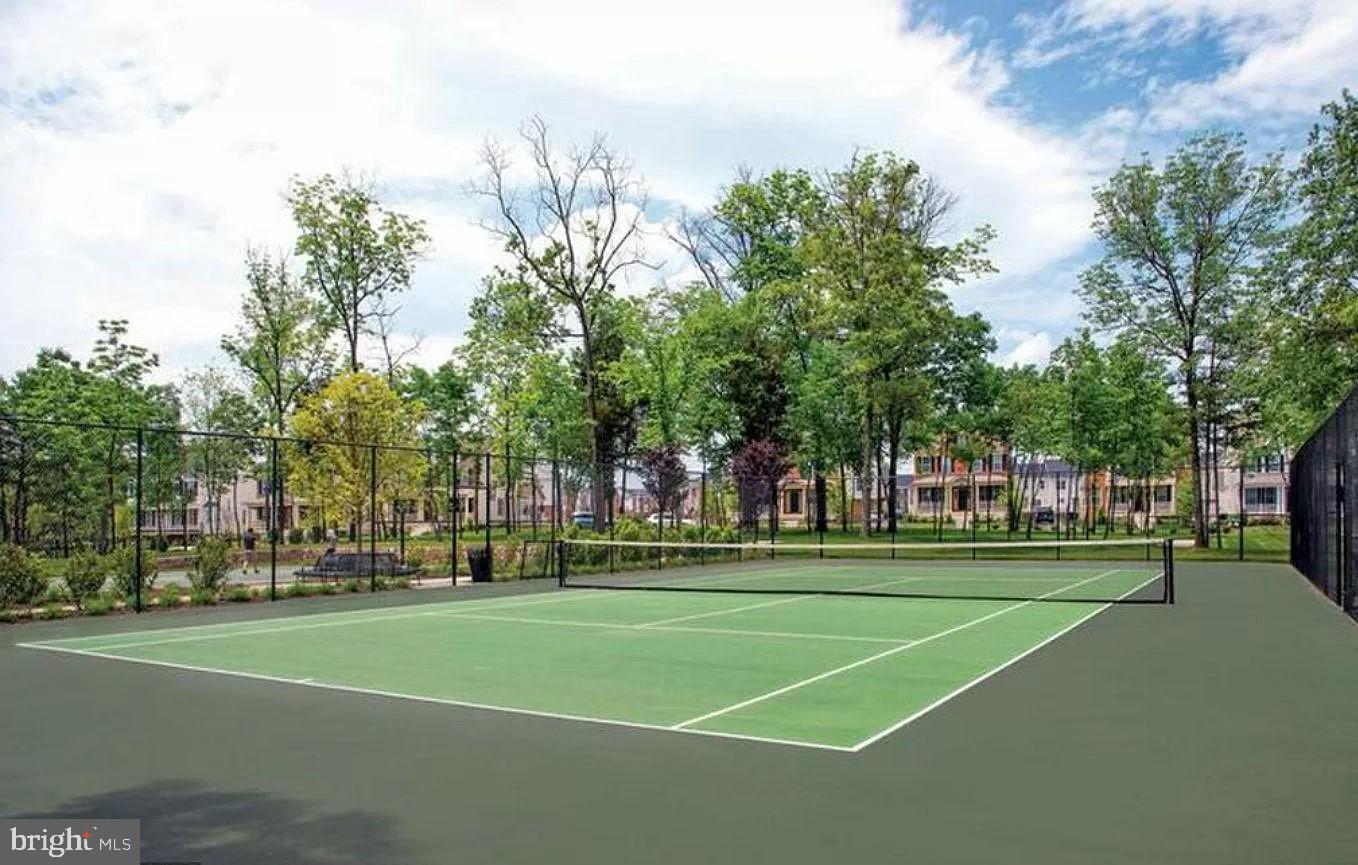 23109 DUNLOP HEIGHTS TERRACE