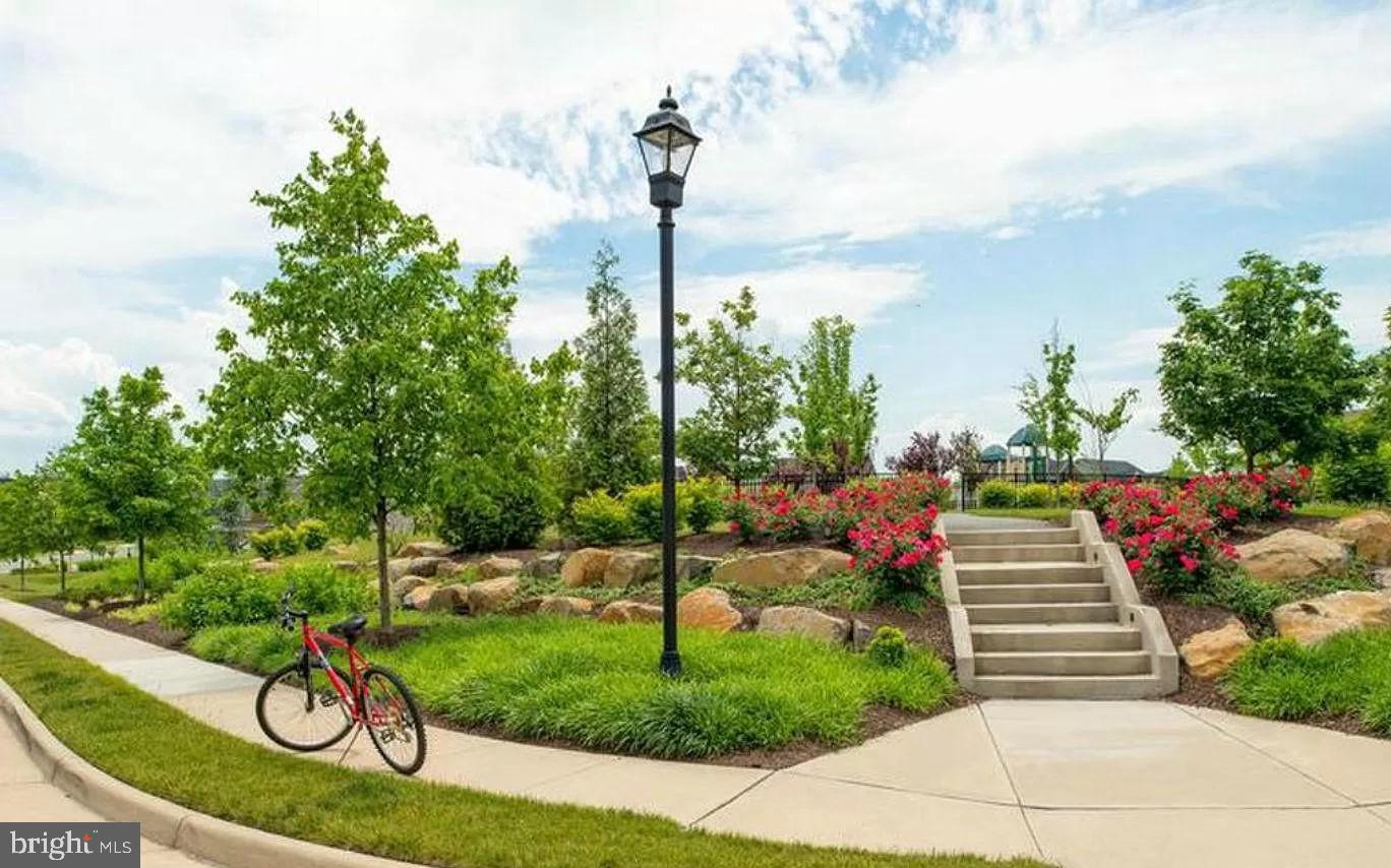 23109 DUNLOP HEIGHTS TERRACE