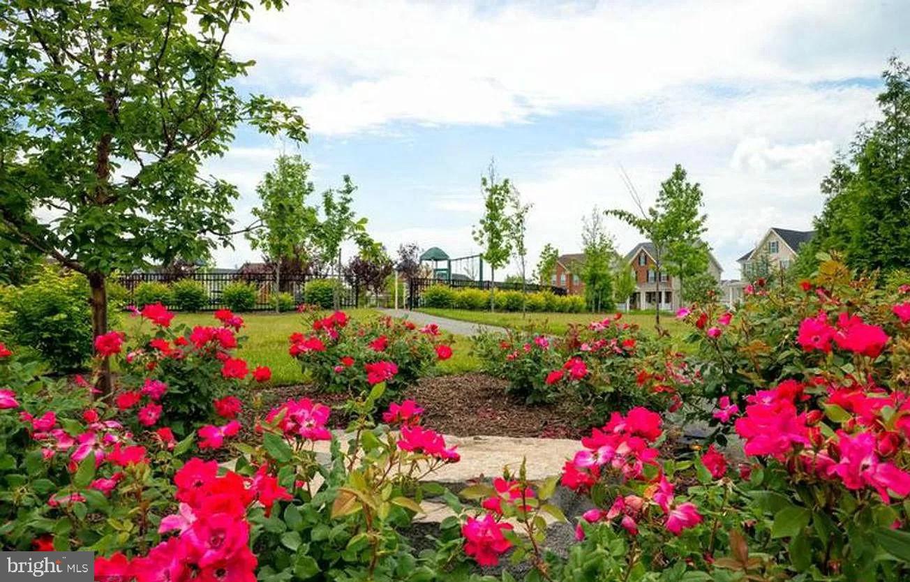 23109 DUNLOP HEIGHTS TERRACE