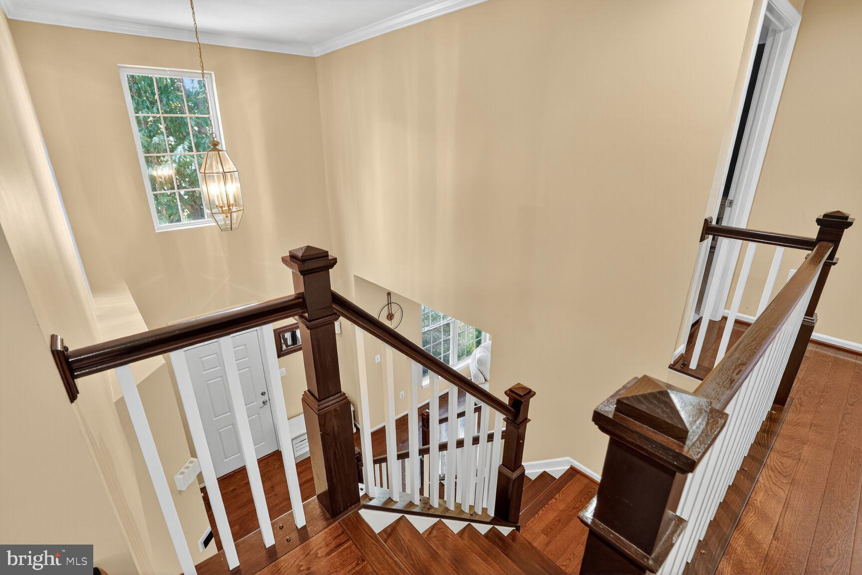 12171 OPEN MEADOW LANE