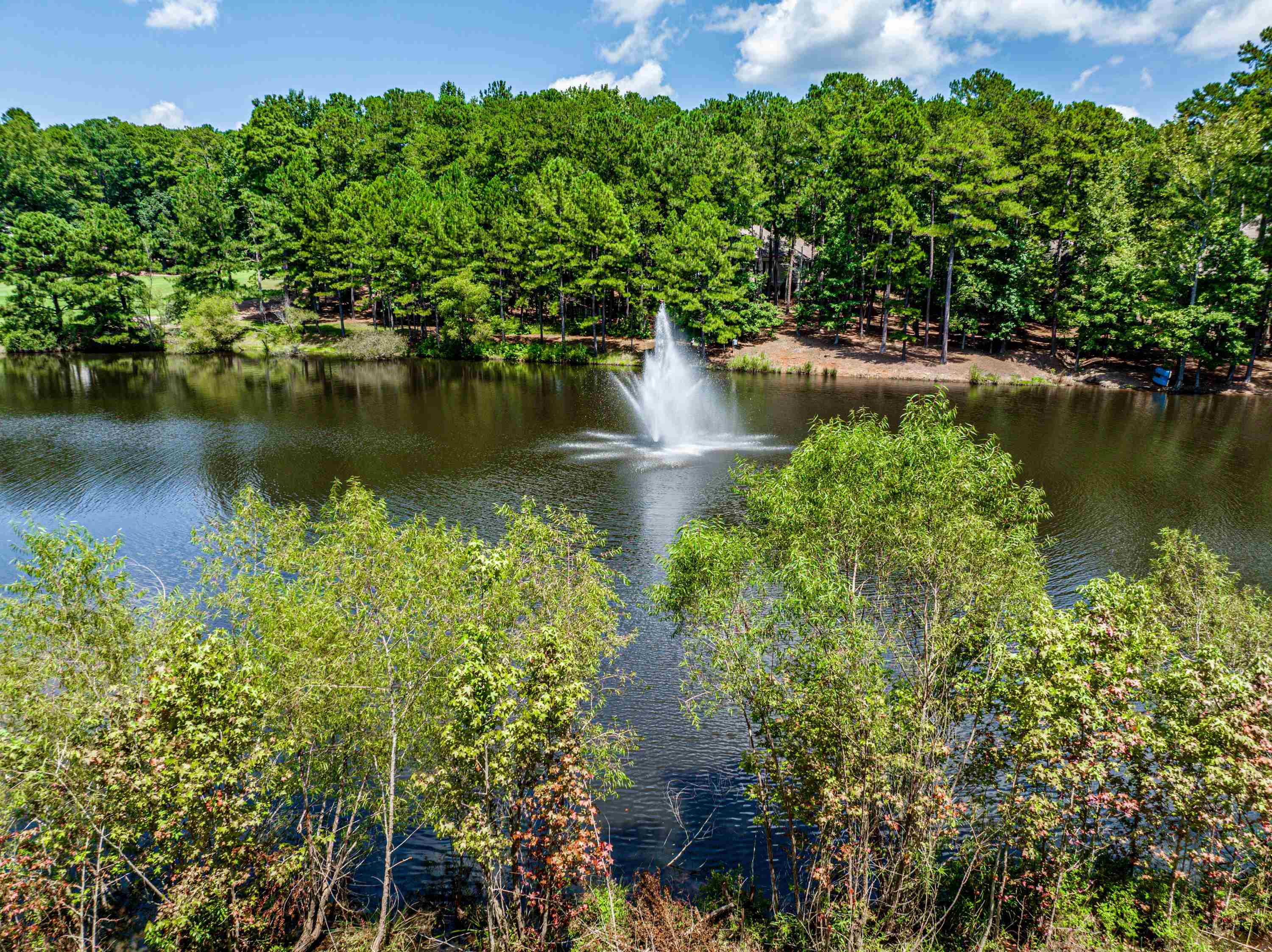 1011 CAWTHORNE LANE # 14