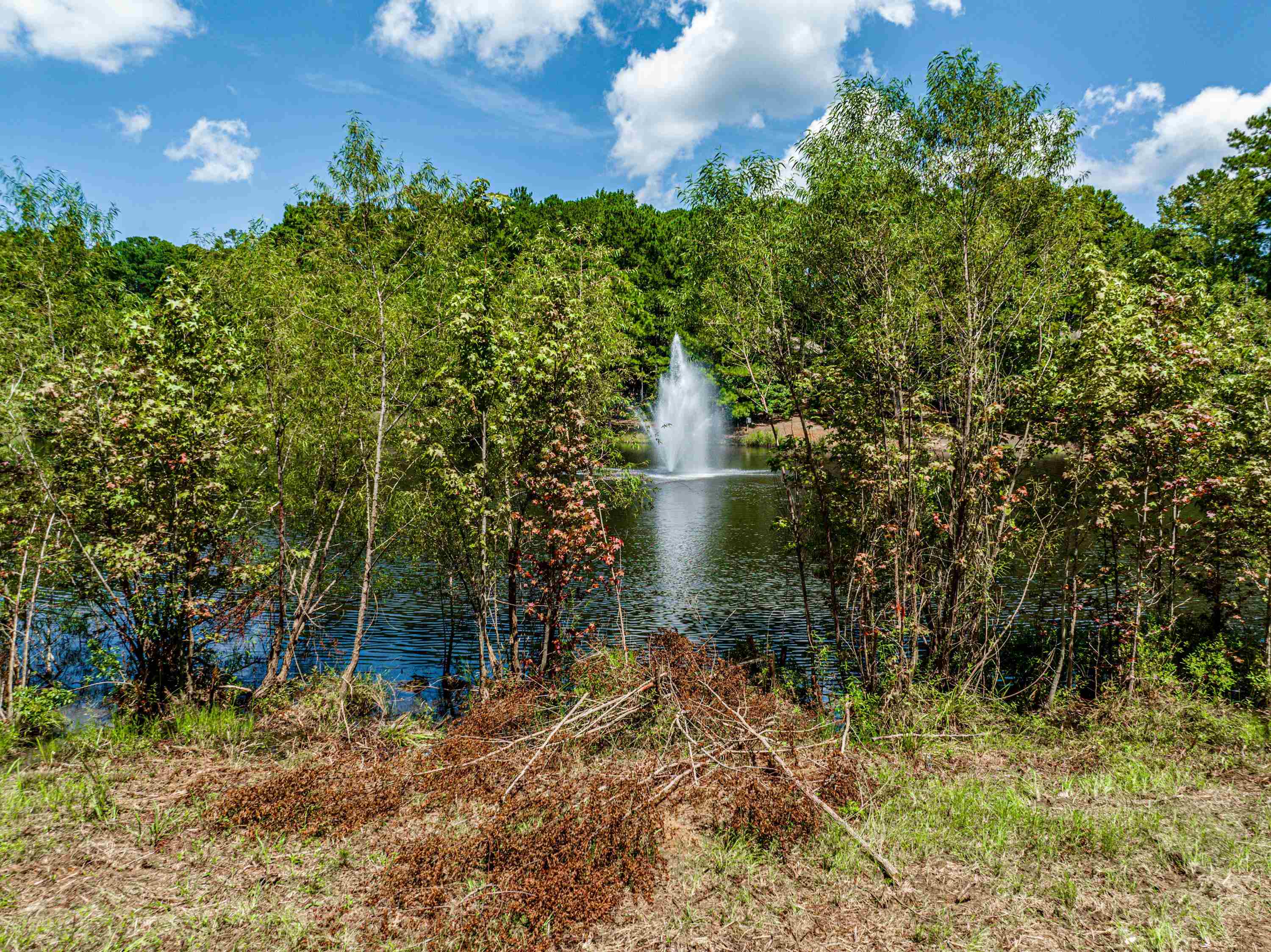 1011 CAWTHORNE LANE # 14