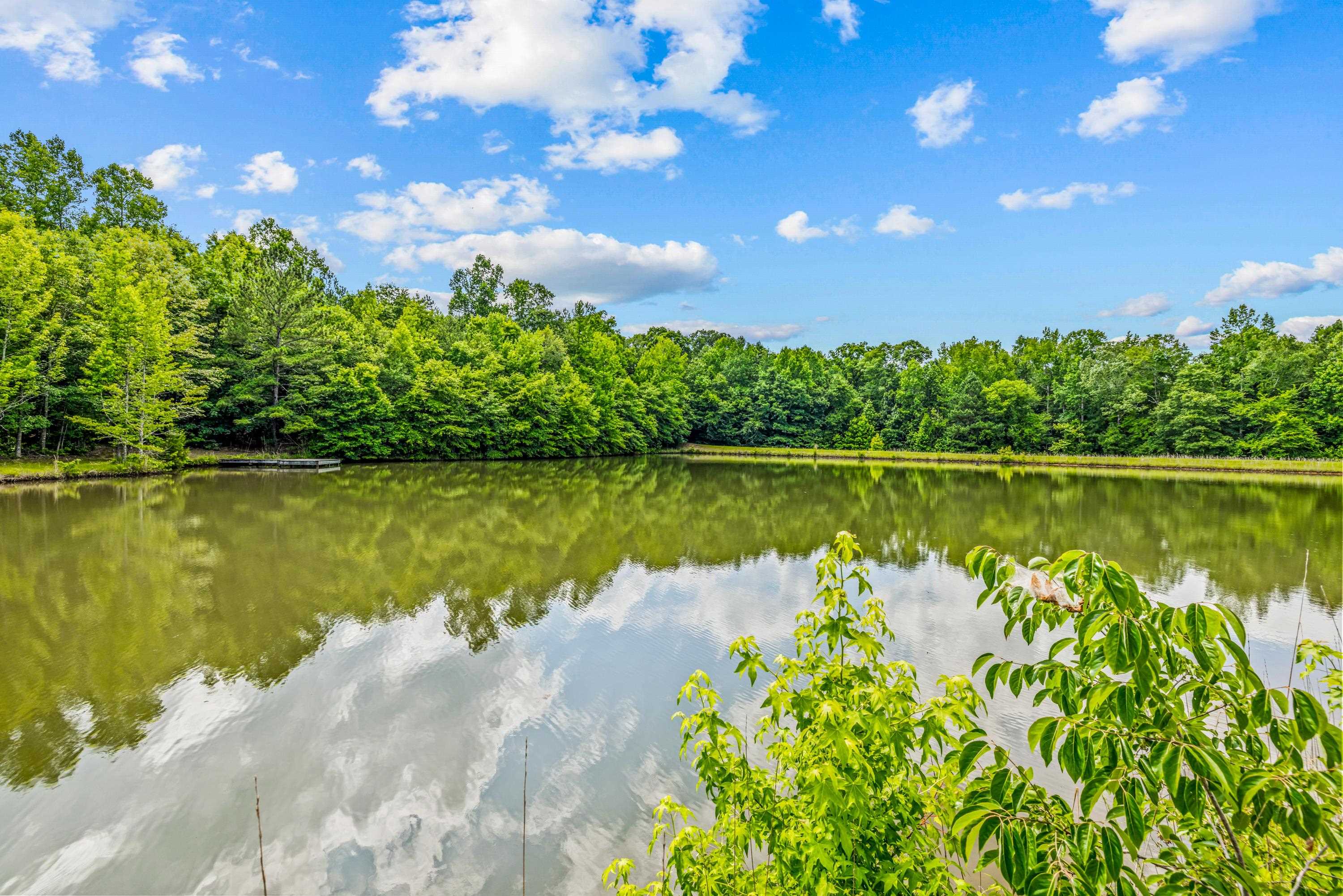 1470 DOUBLE BRIDGES ROAD