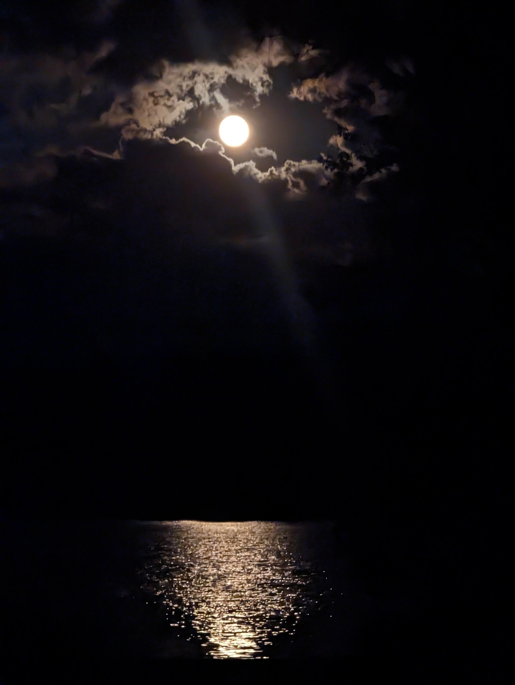 1011 LULLWATER COURT