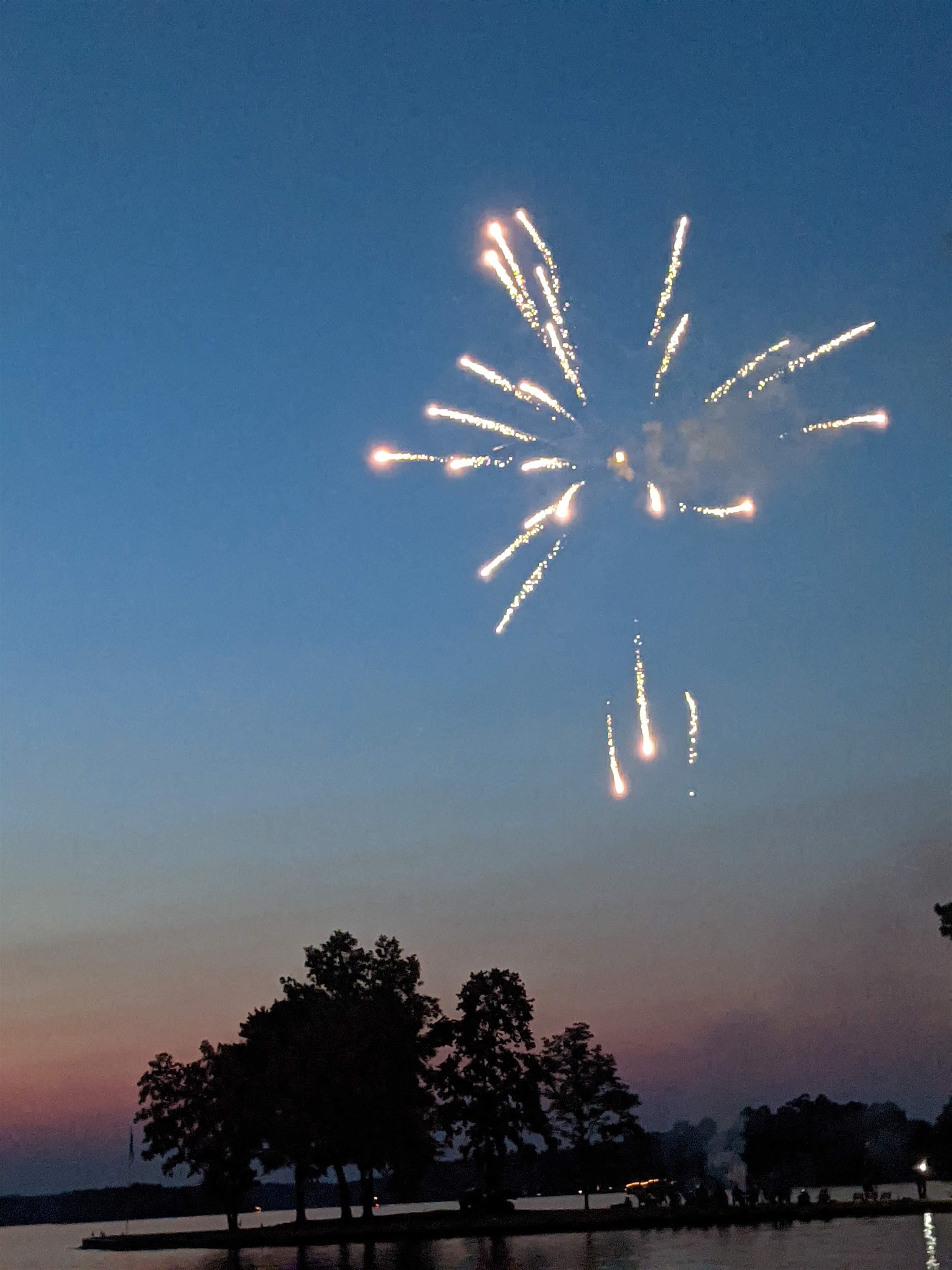 1011 LULLWATER COURT