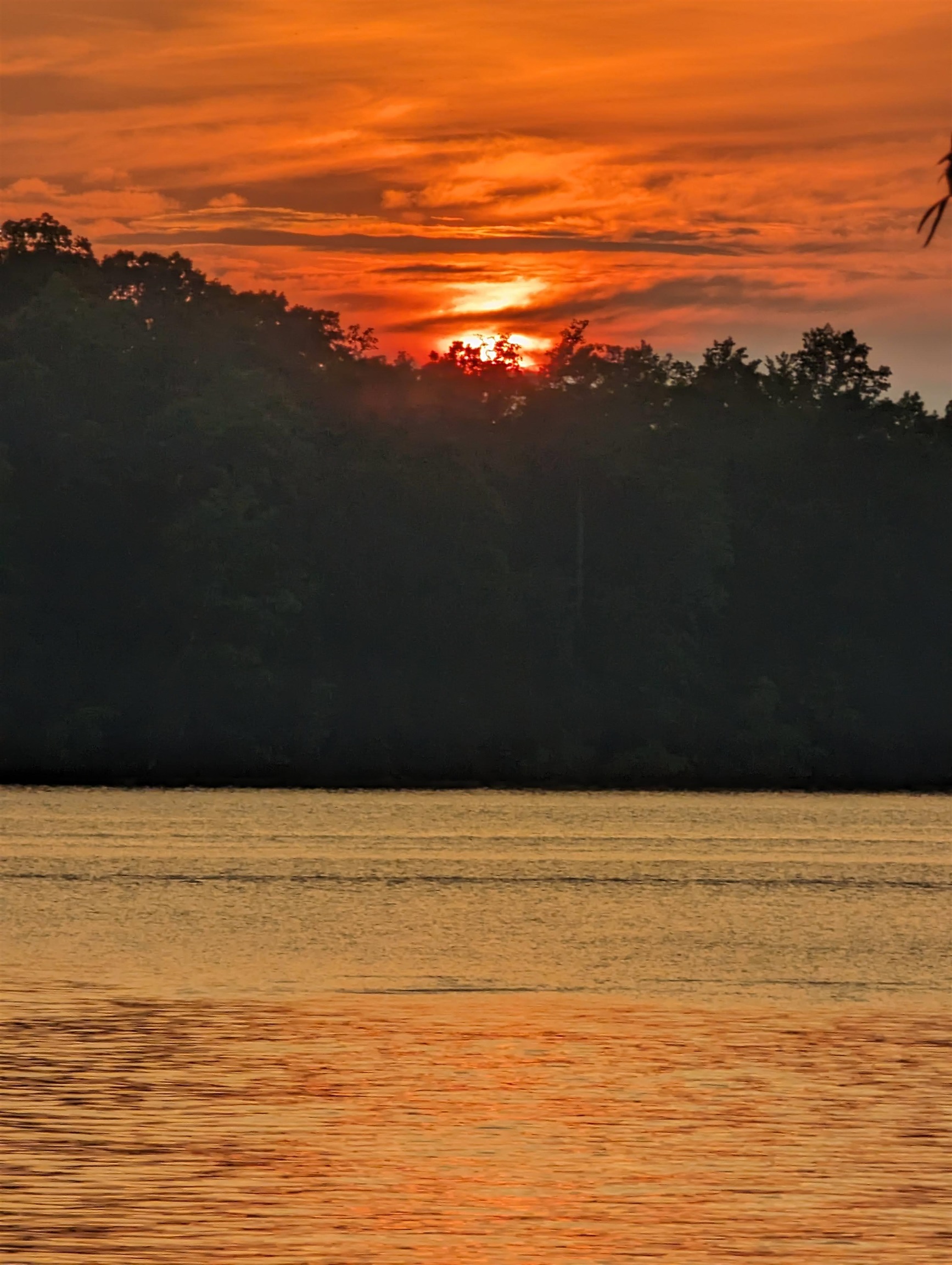 1011 LULLWATER COURT