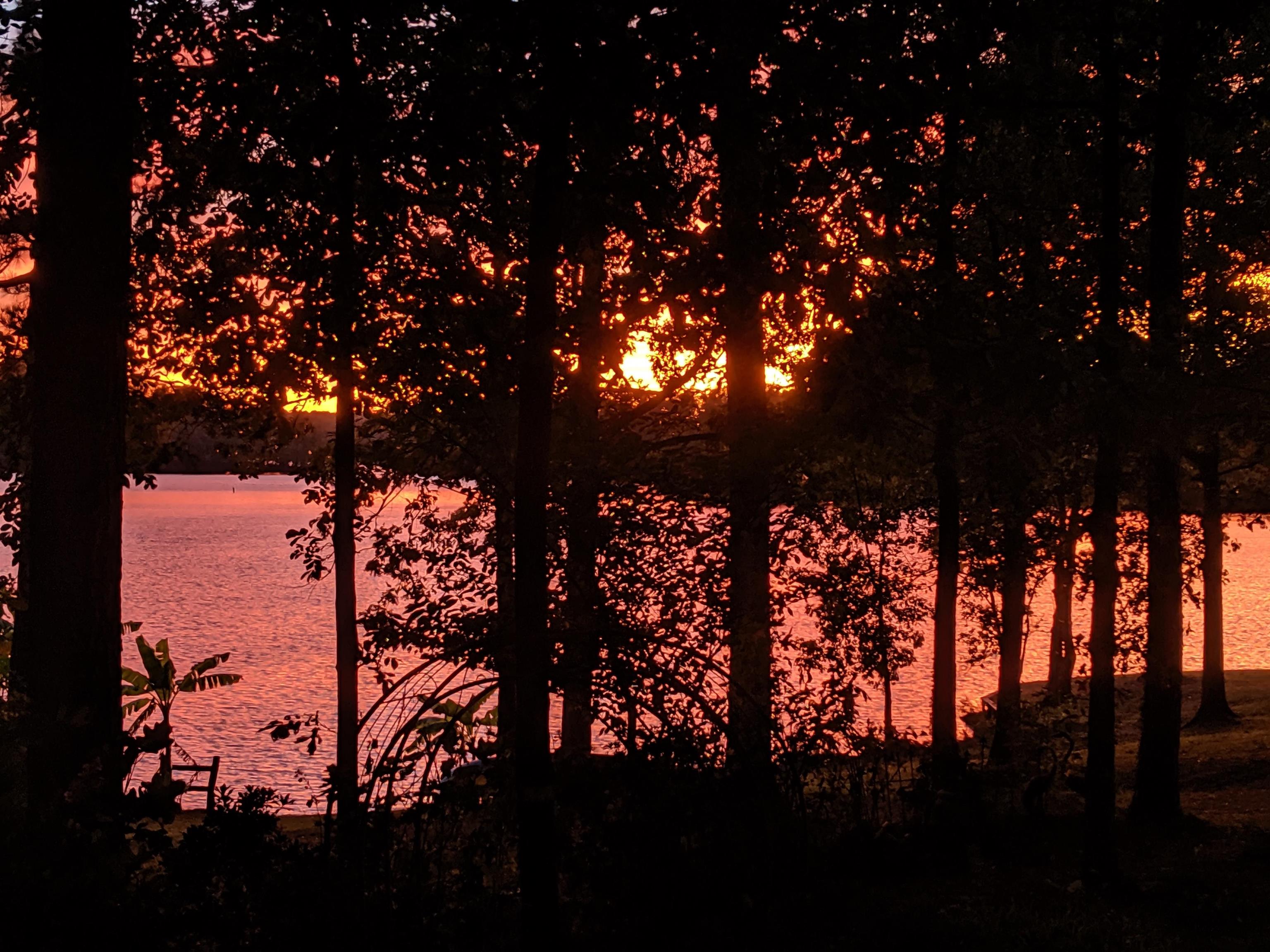 1011 LULLWATER COURT